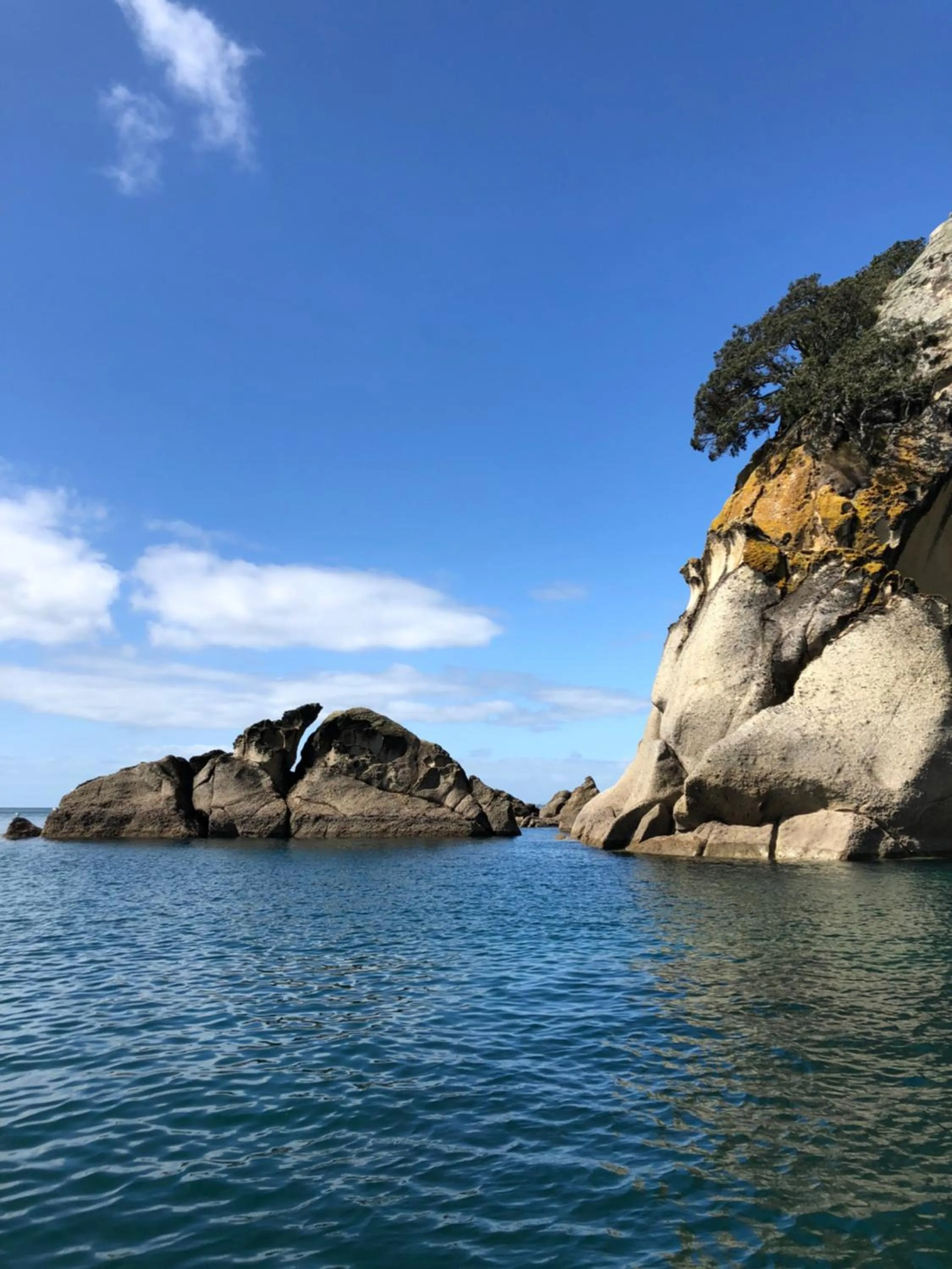 Natural landscape in Hibiscus Bed & Breakfast