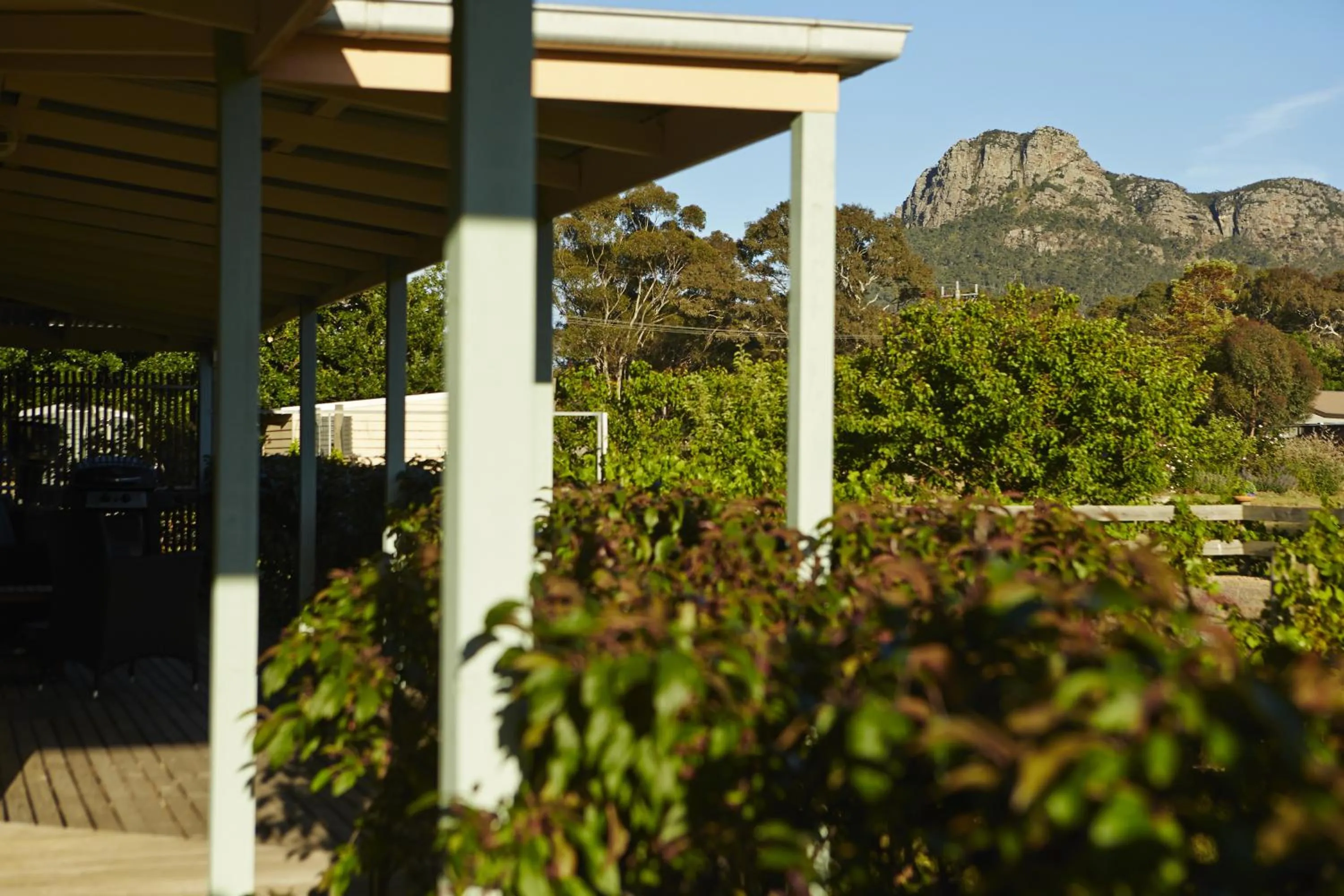 Garden in Grampians View B&B