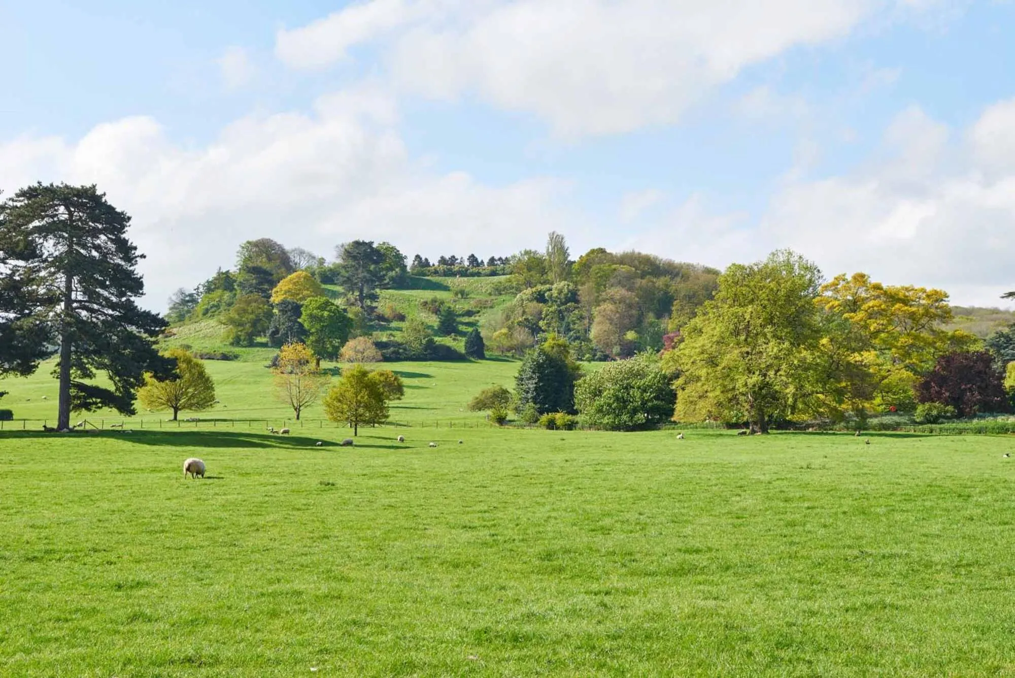 Natural landscape in Dumbleton Hall Hotel