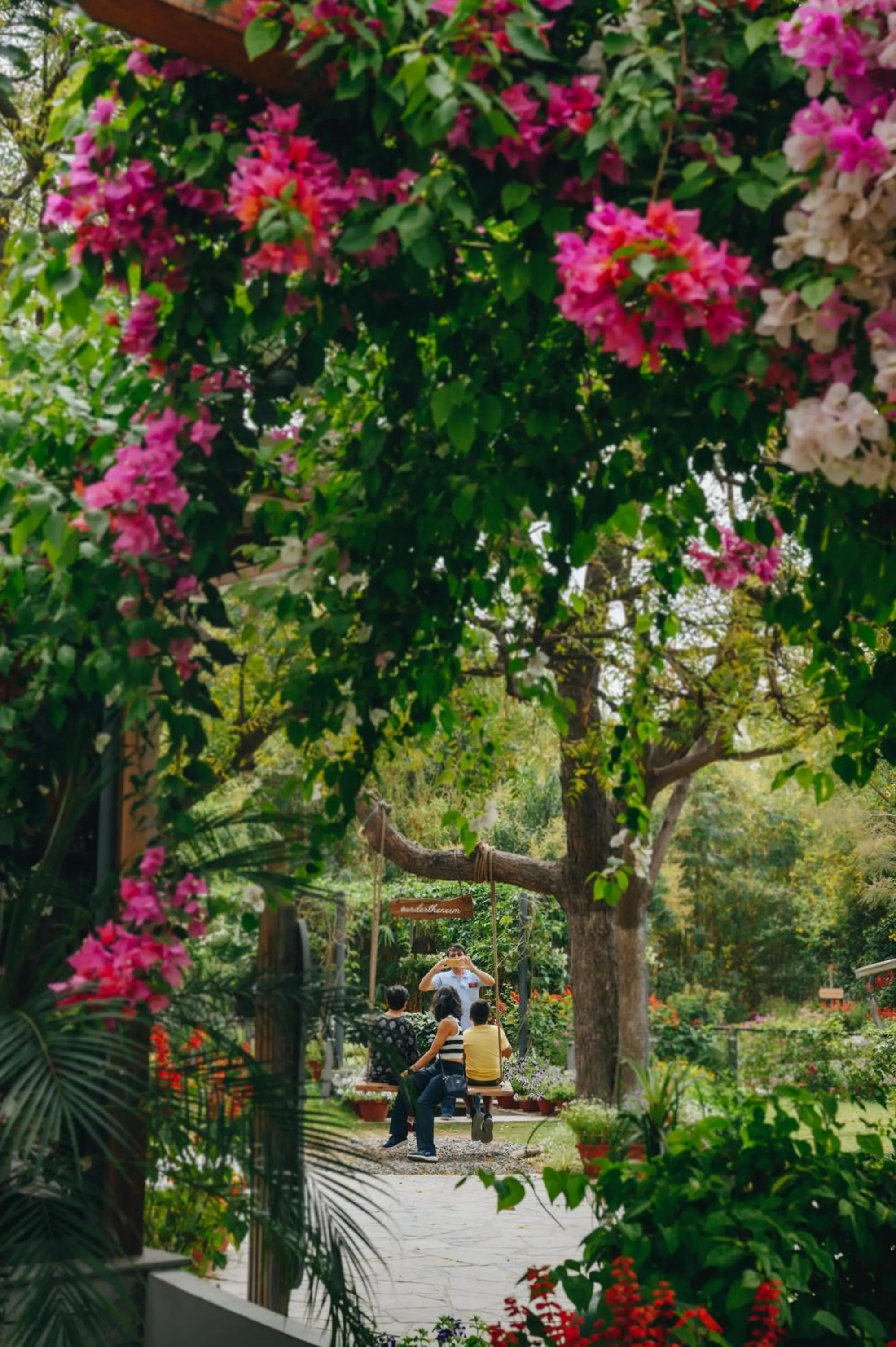 Property building in Karma Chalets