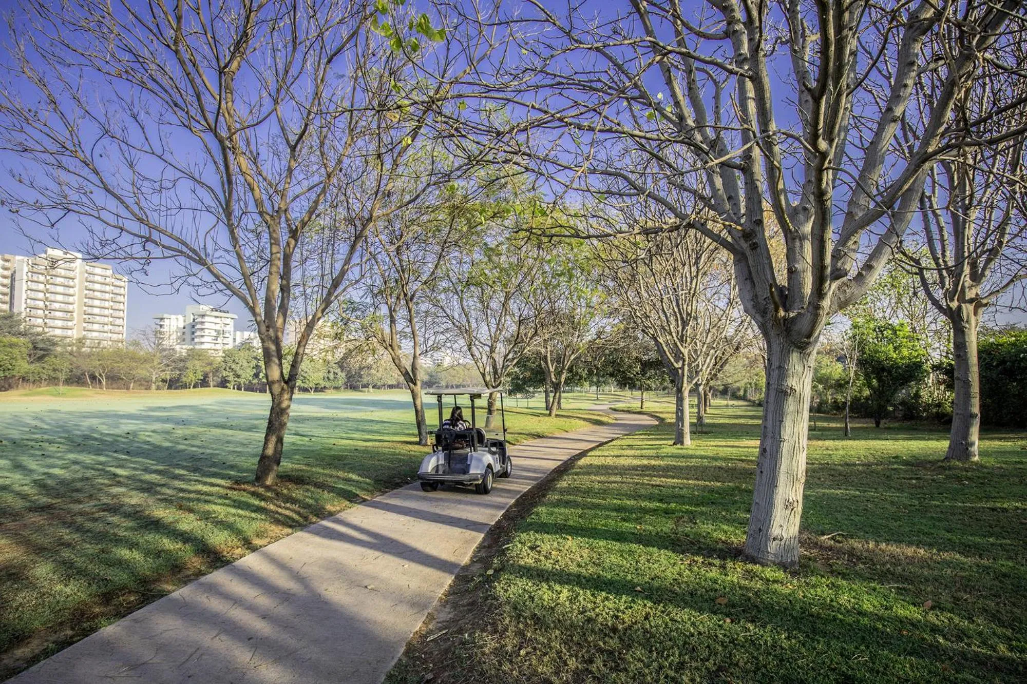 Natural landscape in Karma Chalets