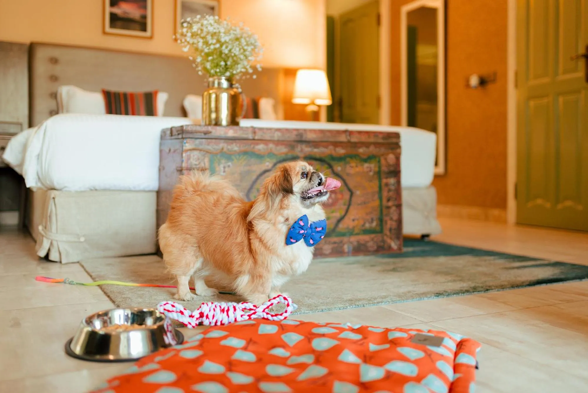 Pets in Karma Chalets