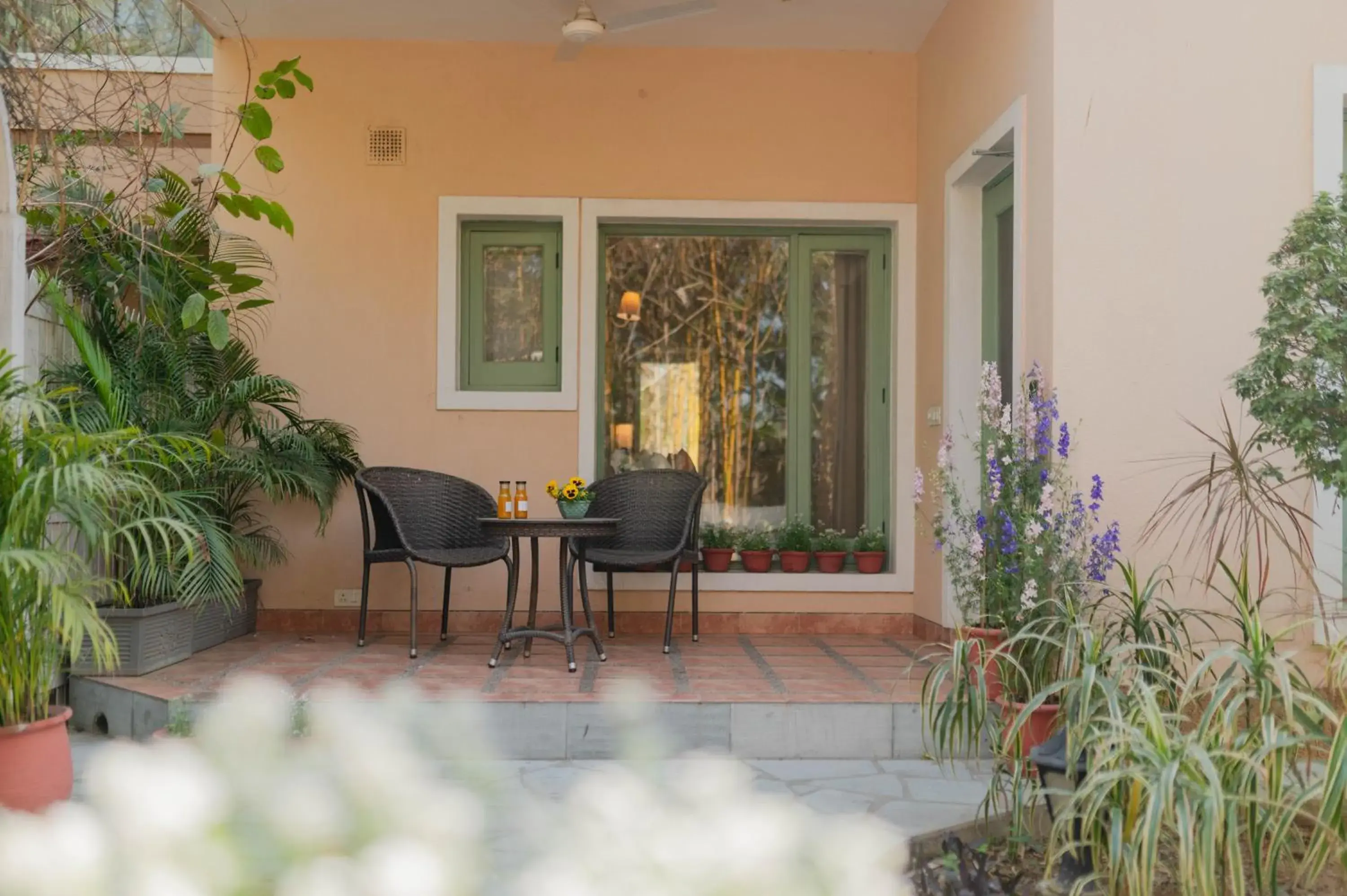 Rabbit's Burrow|1BR in Karma Chalets Rabbit's Burrow|1BR in Karma Chalets