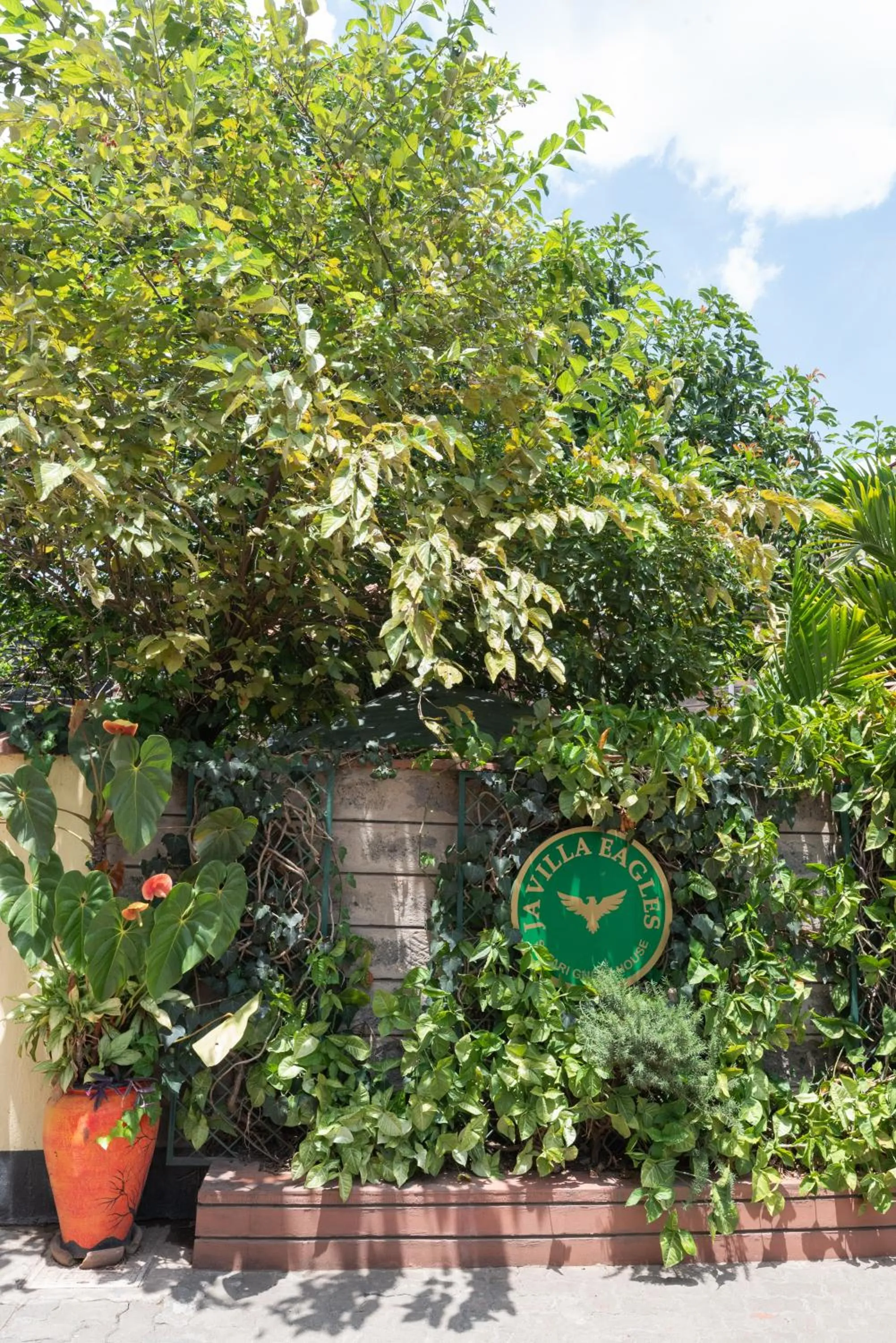 Javilla Eagles Safari Guest house