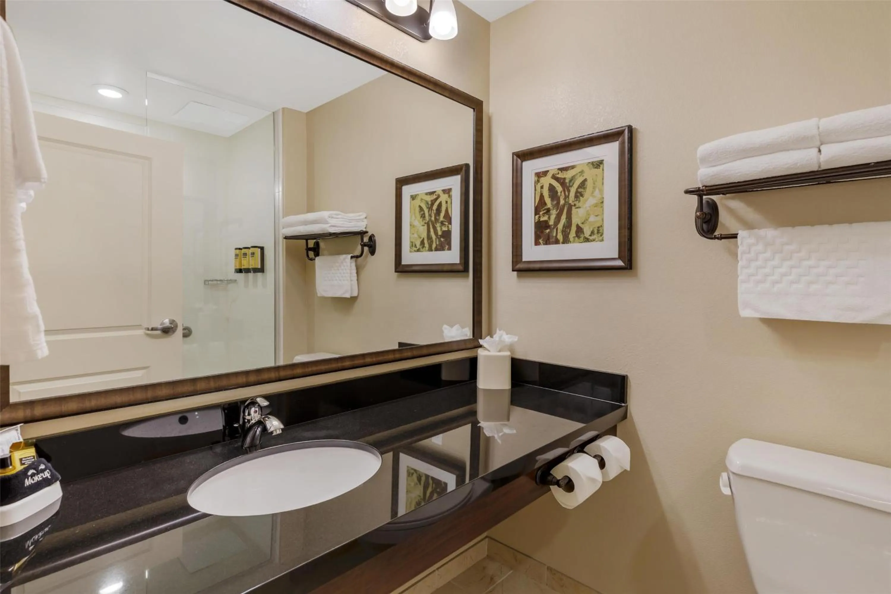 Bathroom in Best Western Plus Hudson Hotel & Suites