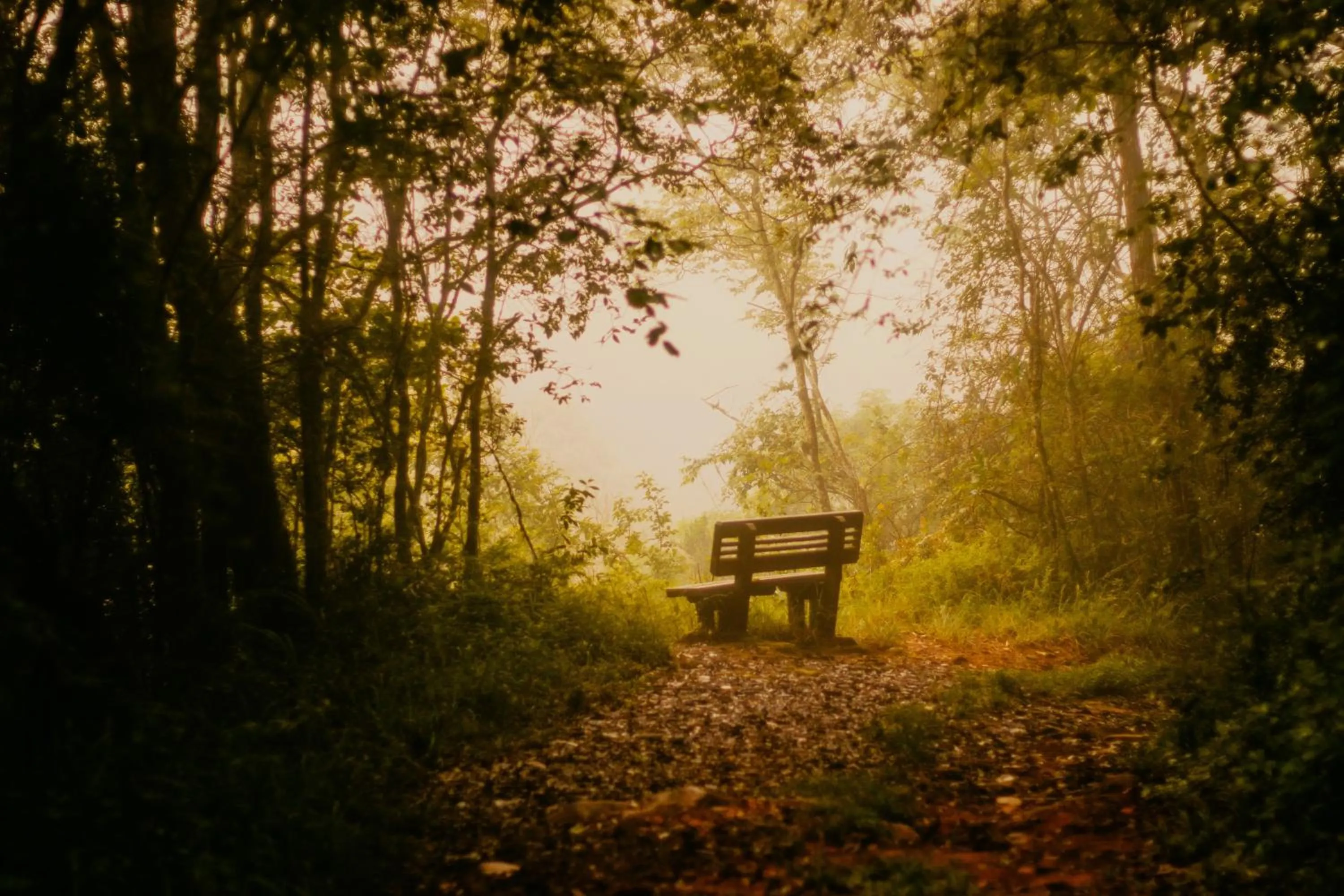 Day in Mount Sheba Rainforest Hotel - Mountain Spring Water