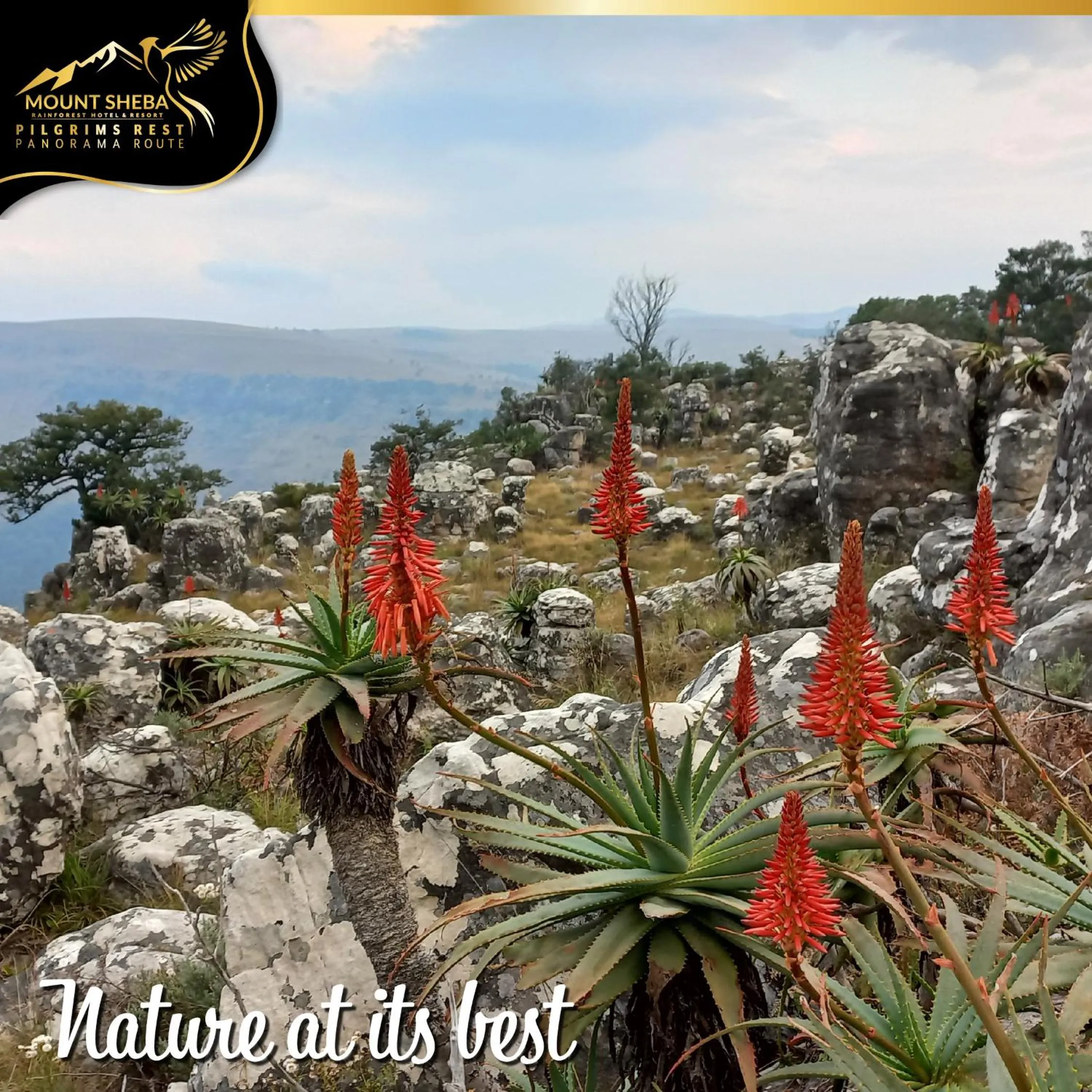 Day in Mount Sheba Rainforest Hotel - Mountain Spring Water