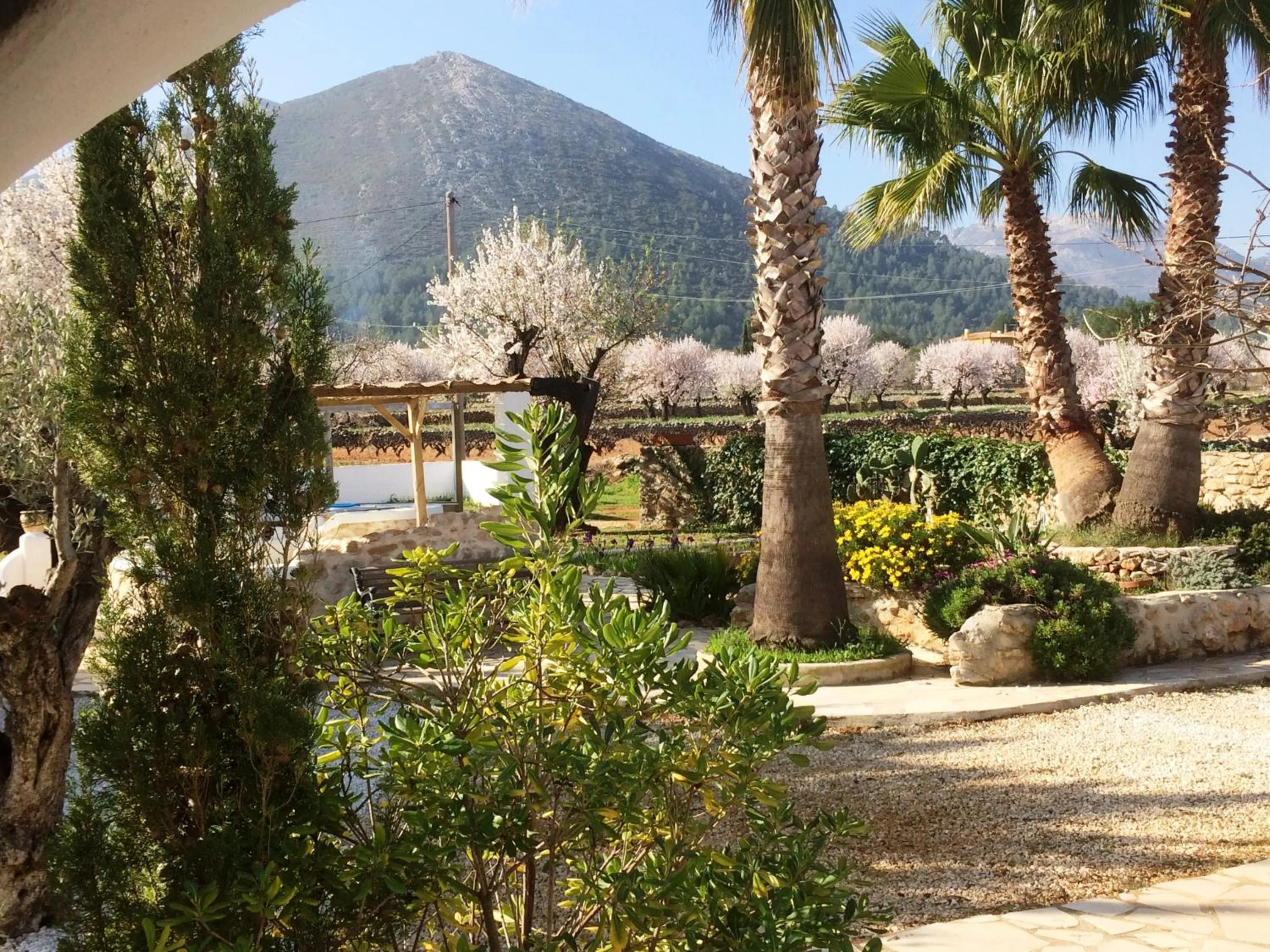 Garden view in Buena Idea - Adults Only