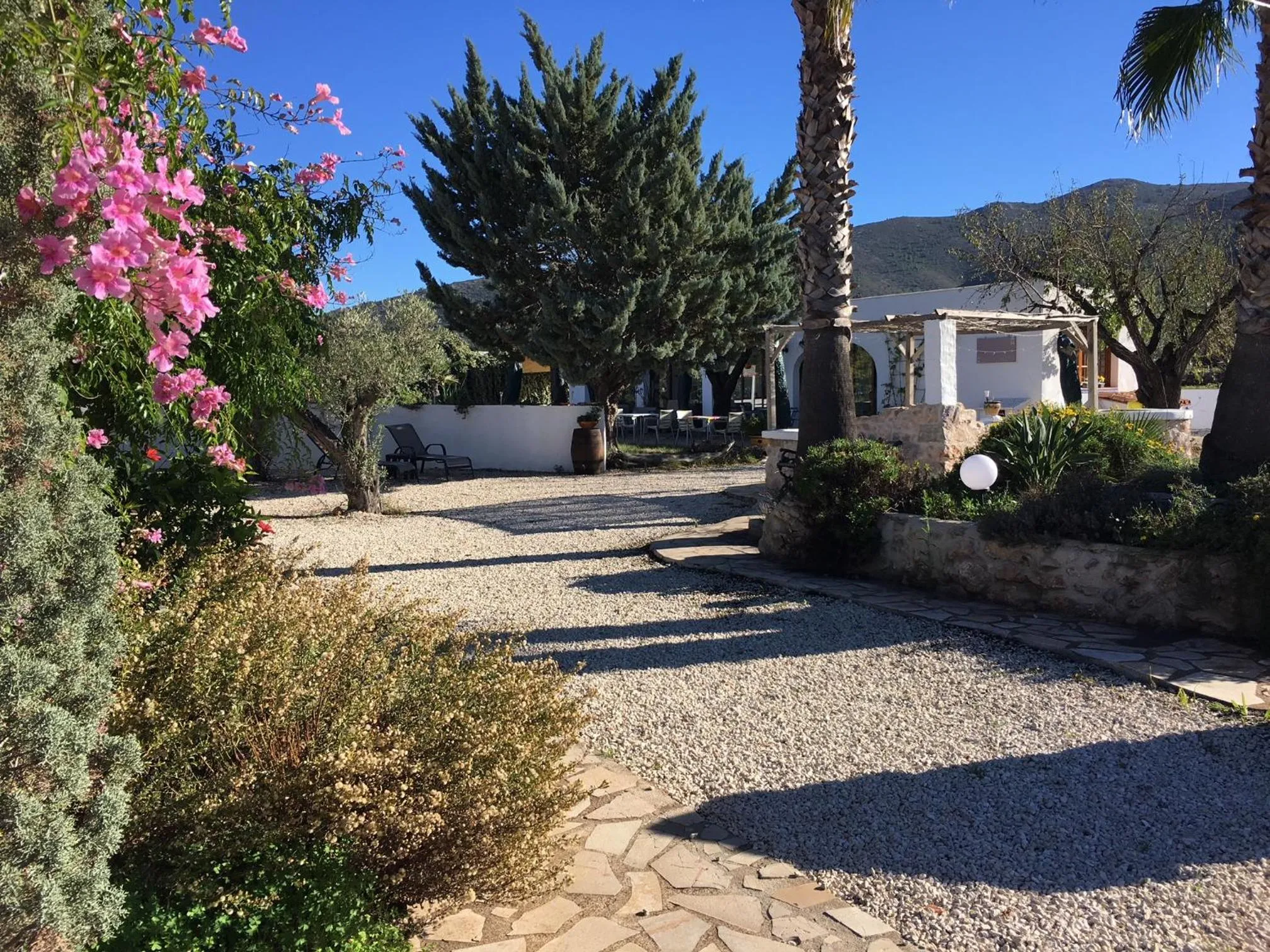 Garden view in Buena Idea - Adults Only