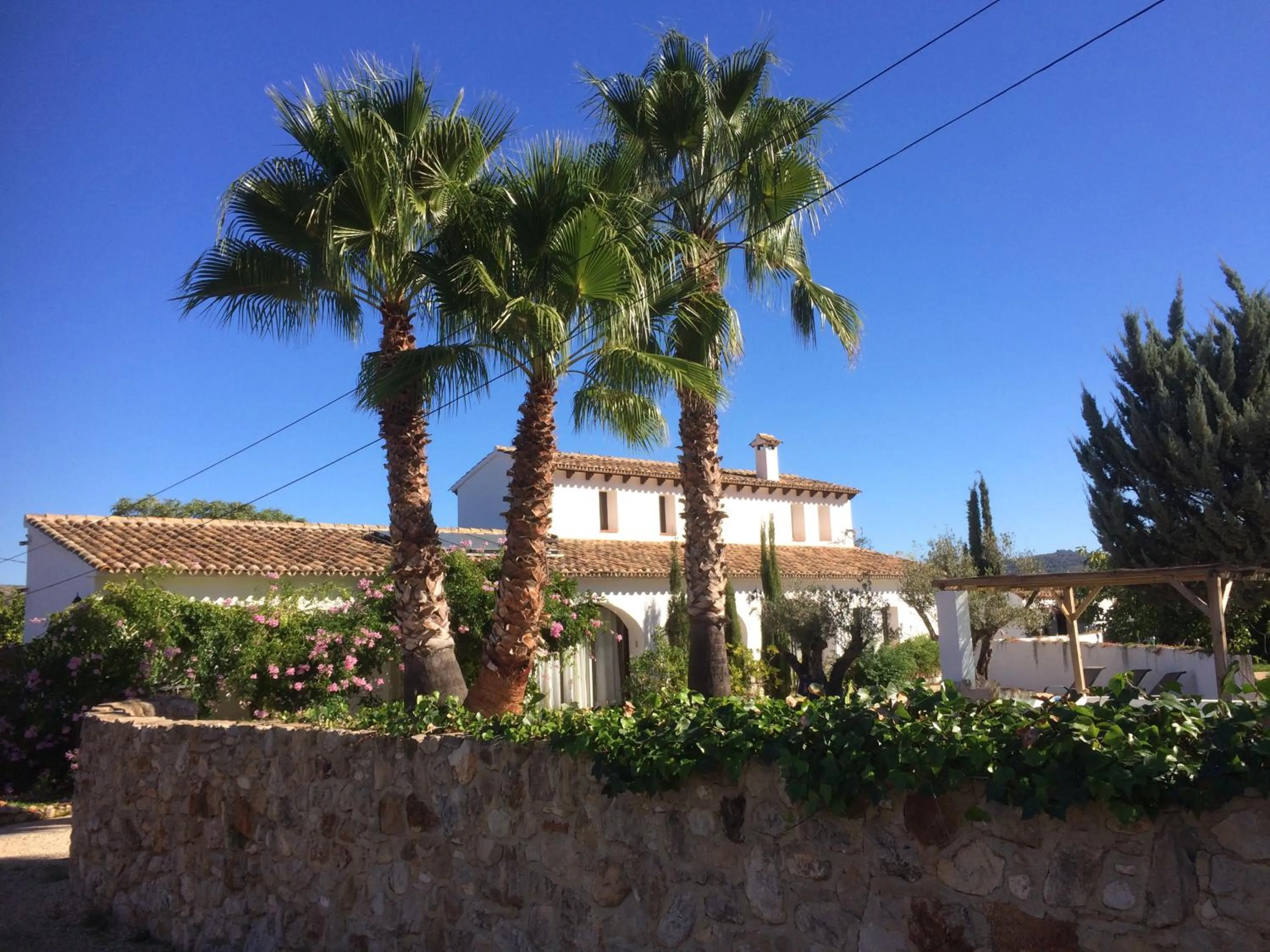 Facade/entrance in Buena Idea - Adults Only