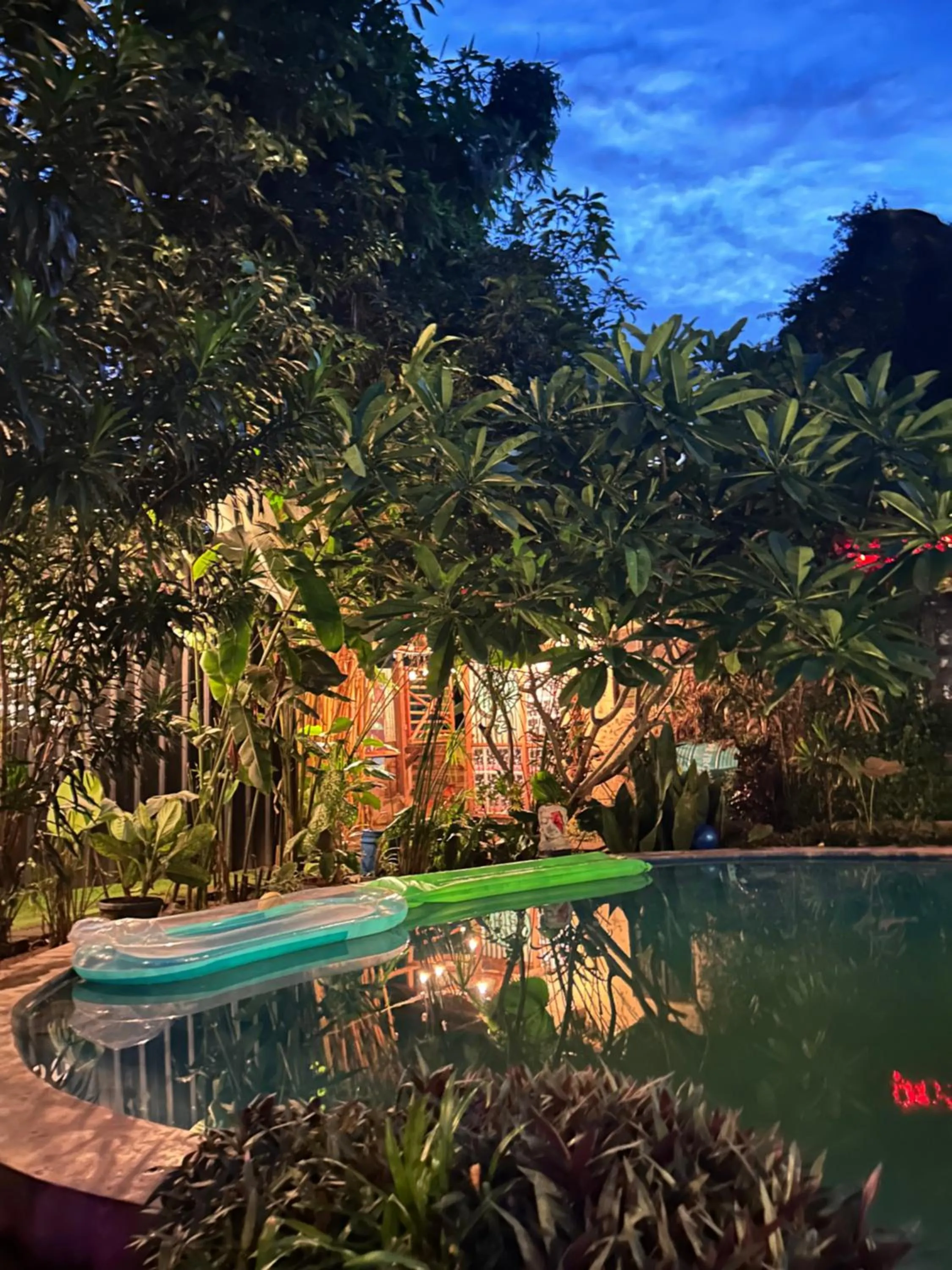 Garden in Losmanos Hostel