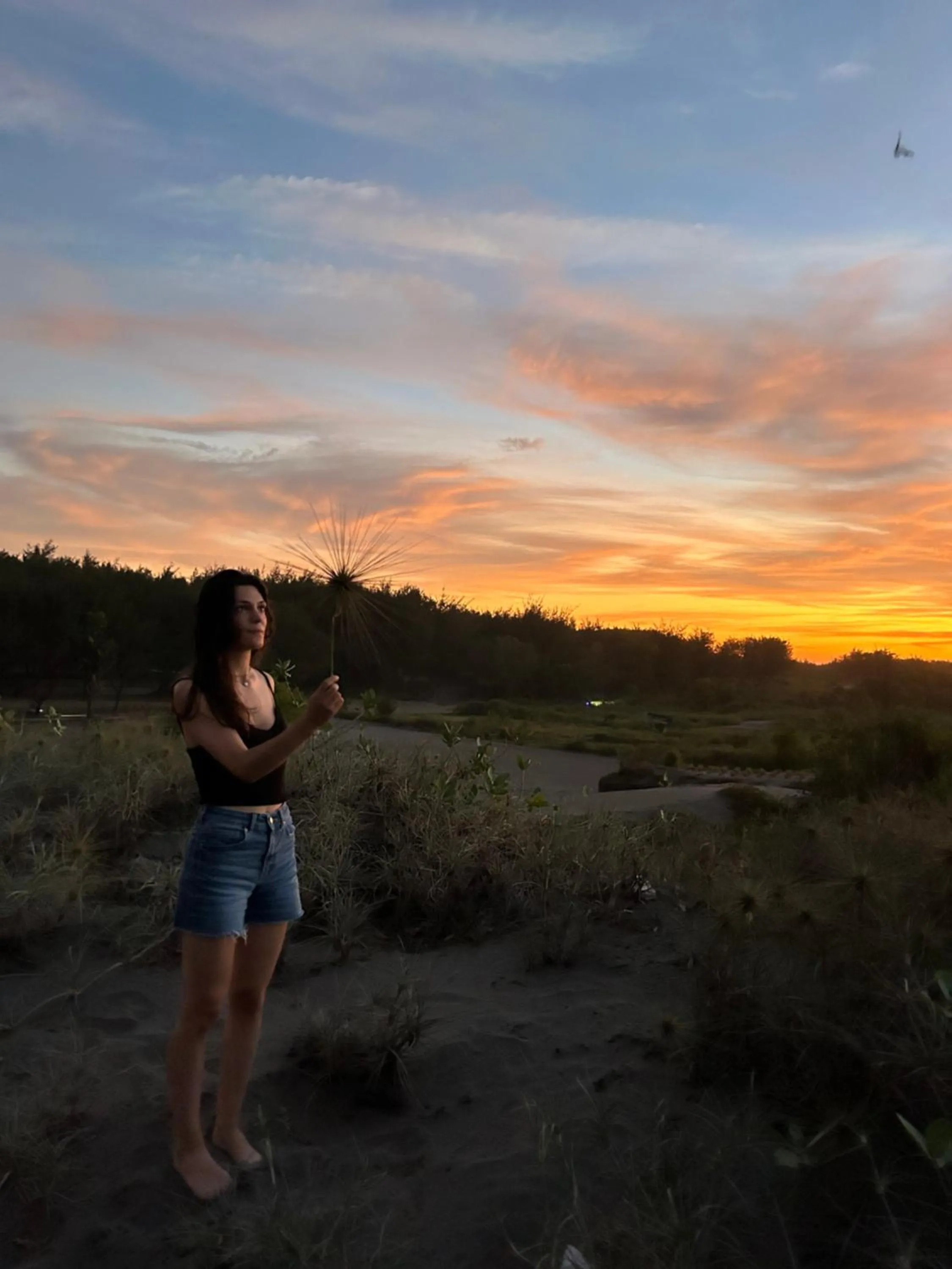 Natural landscape in Losmanos Hostel