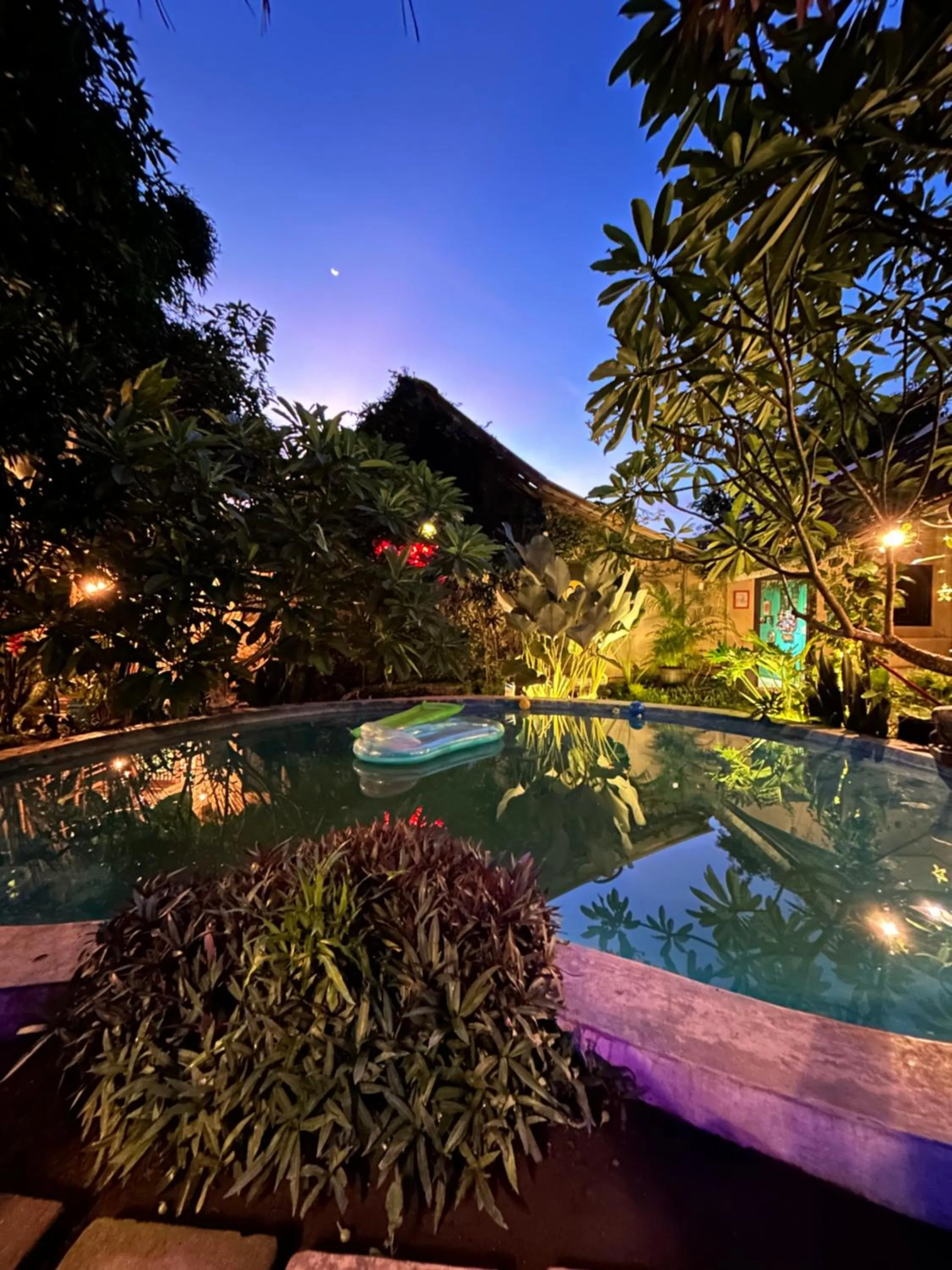Garden in Losmanos Hostel