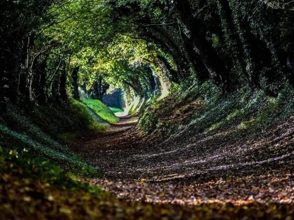 View (from property/room) in 5 Charlton Mill Way B&B