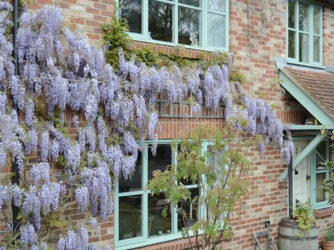 Property building in 5 Charlton Mill Way B&B