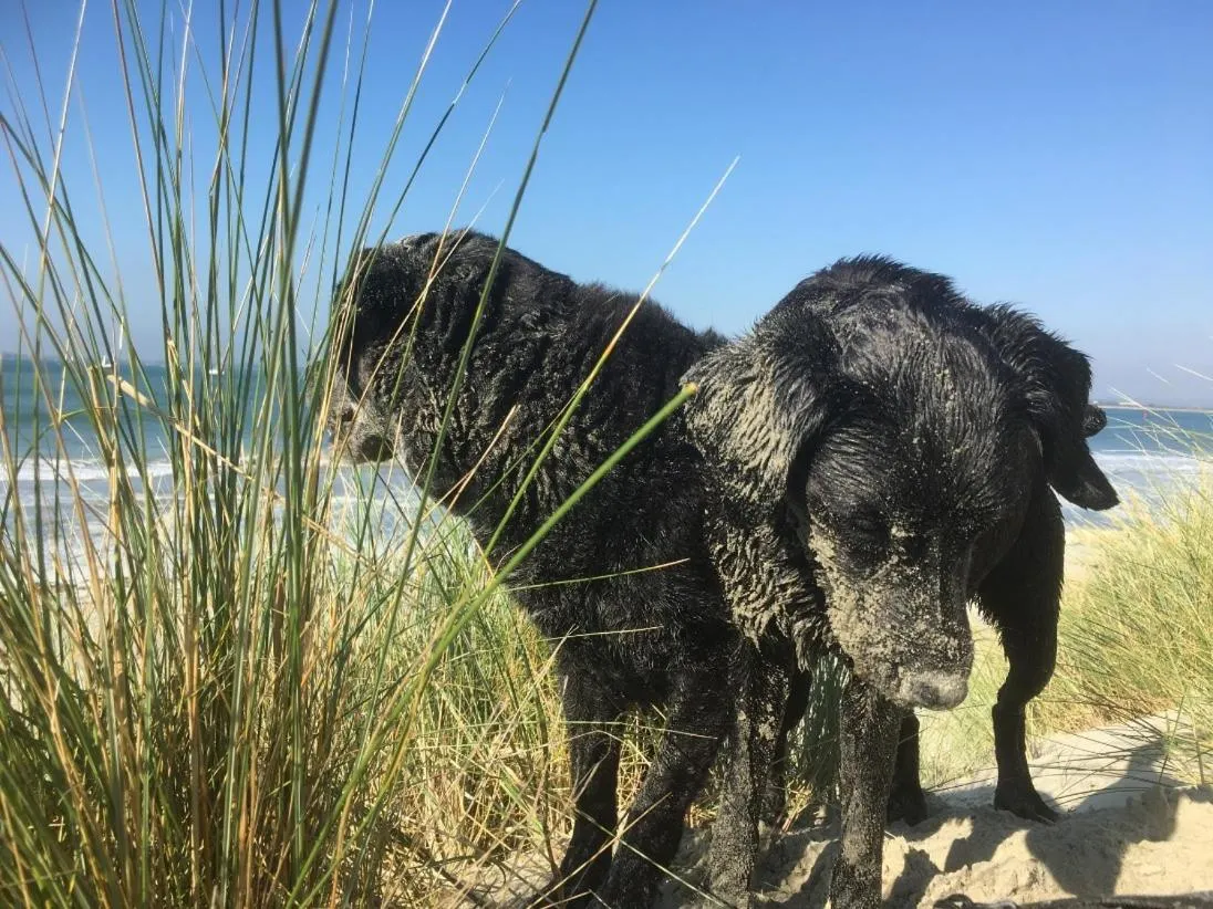 Beach in 5 Charlton Mill Way B&B