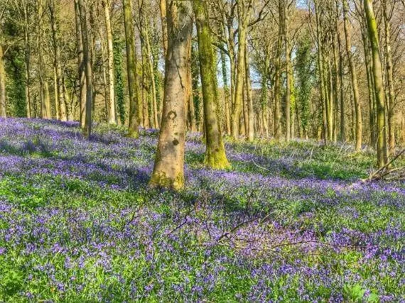 Neighbourhood in 5 Charlton Mill Way B&B