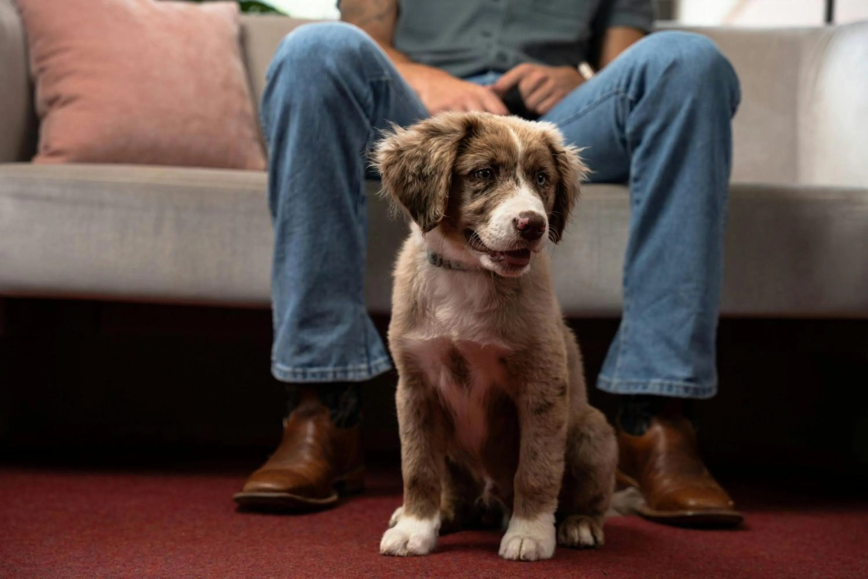 Other in Downright Austin, A Renaissance Hotel