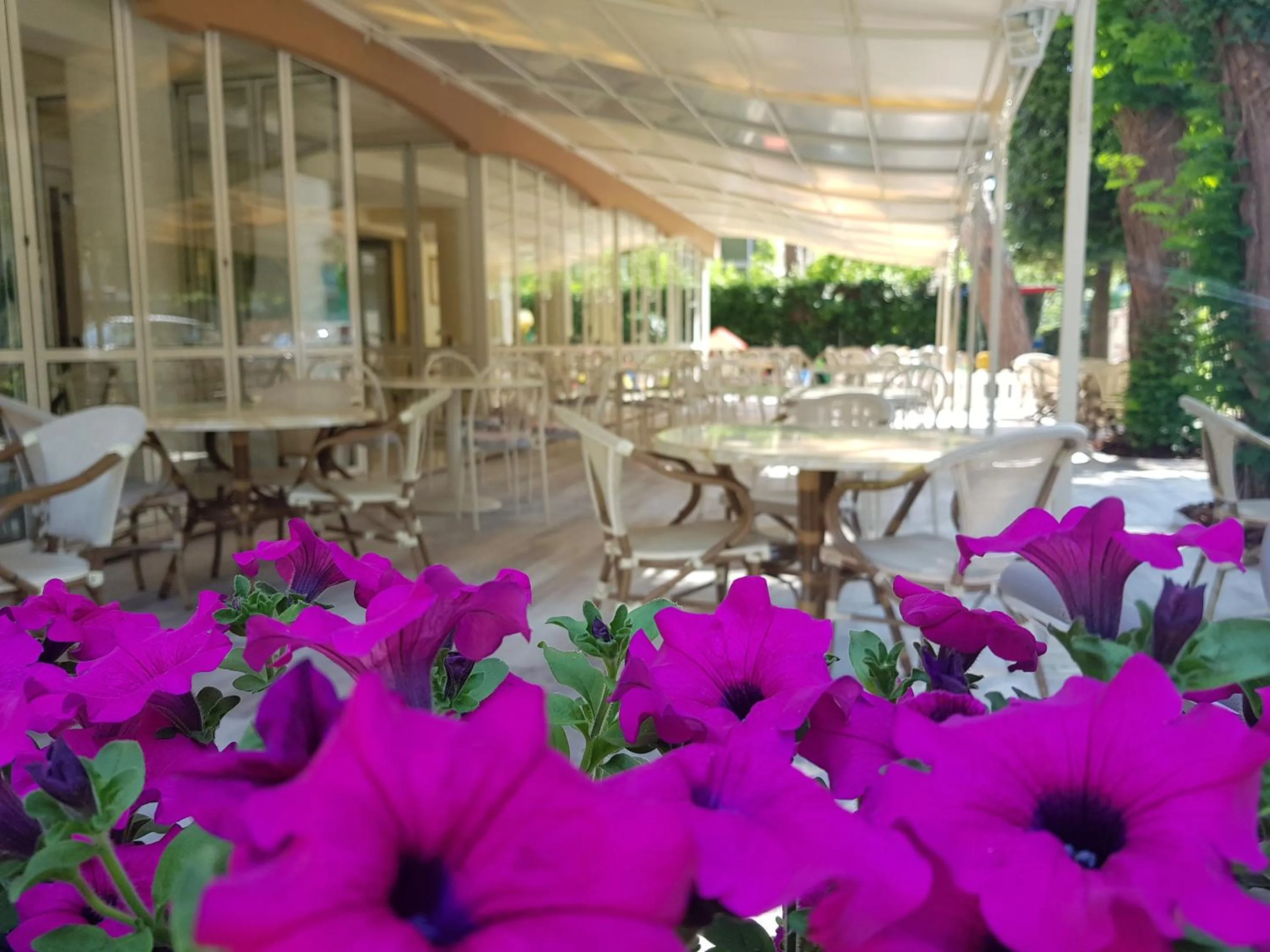 Garden in Hotel Gioiosa