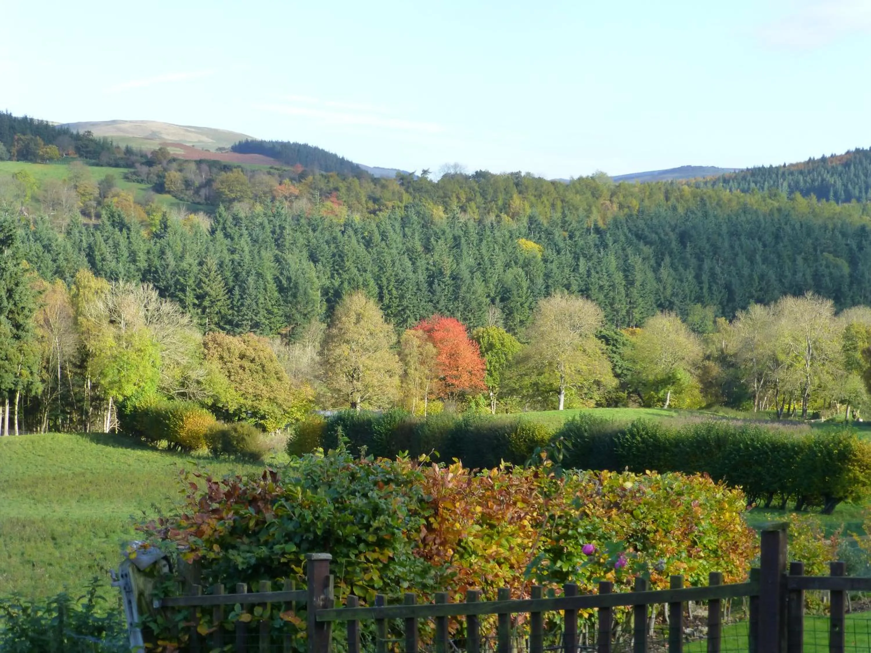 View (from property/room) in Dee Valley Cottages