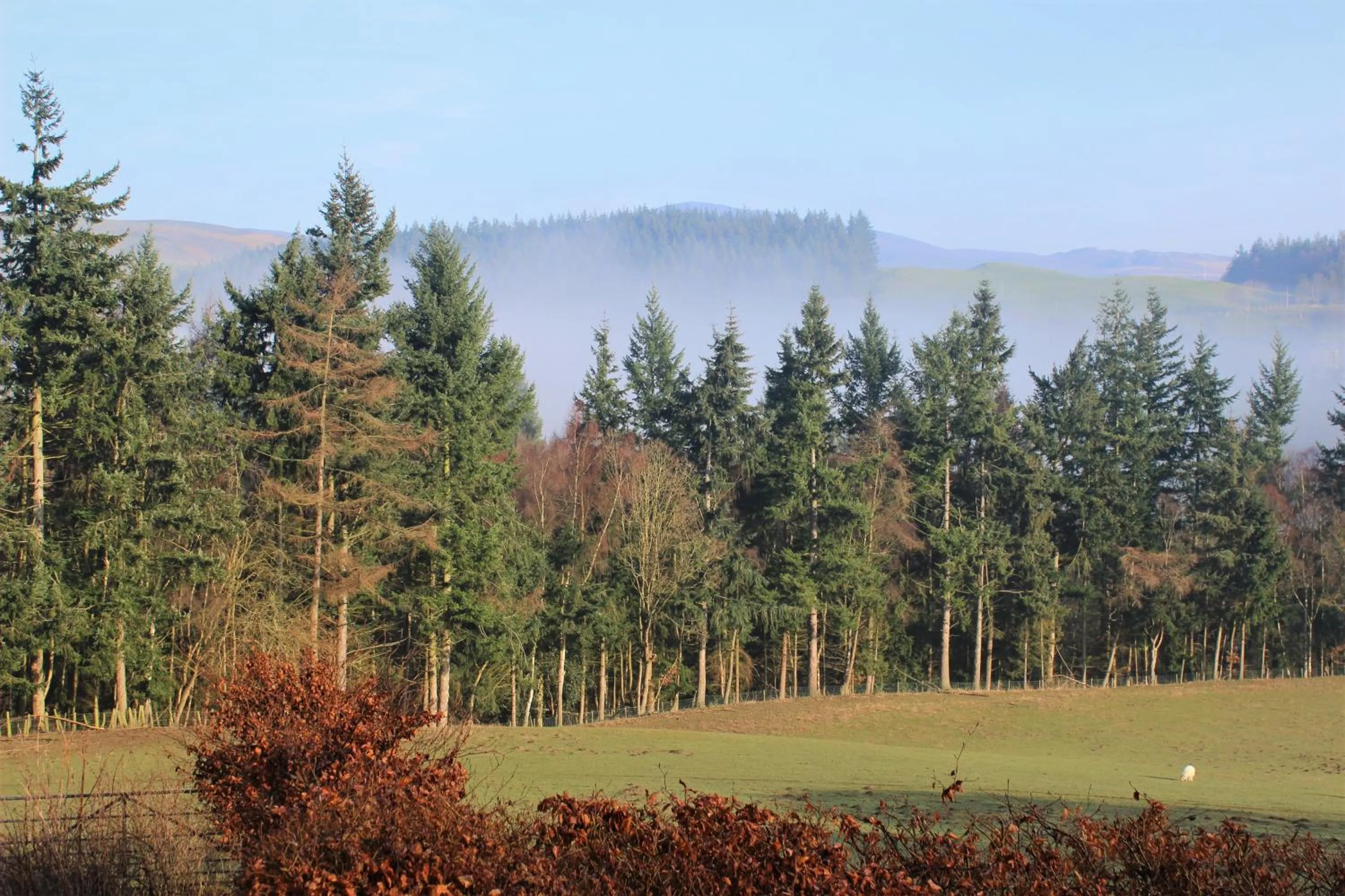 Natural landscape in Dee Valley Cottages