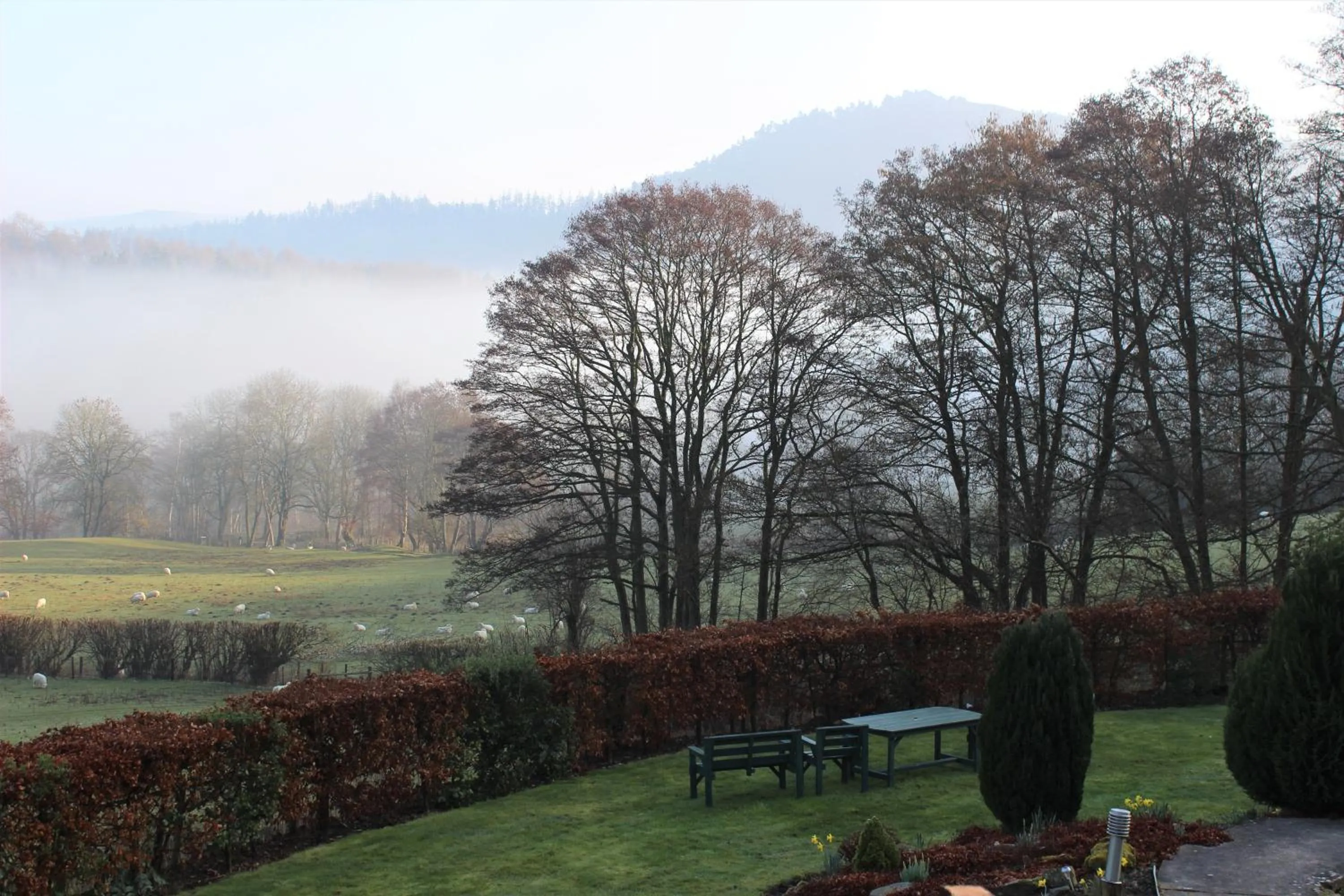 Natural landscape in Dee Valley Cottages
