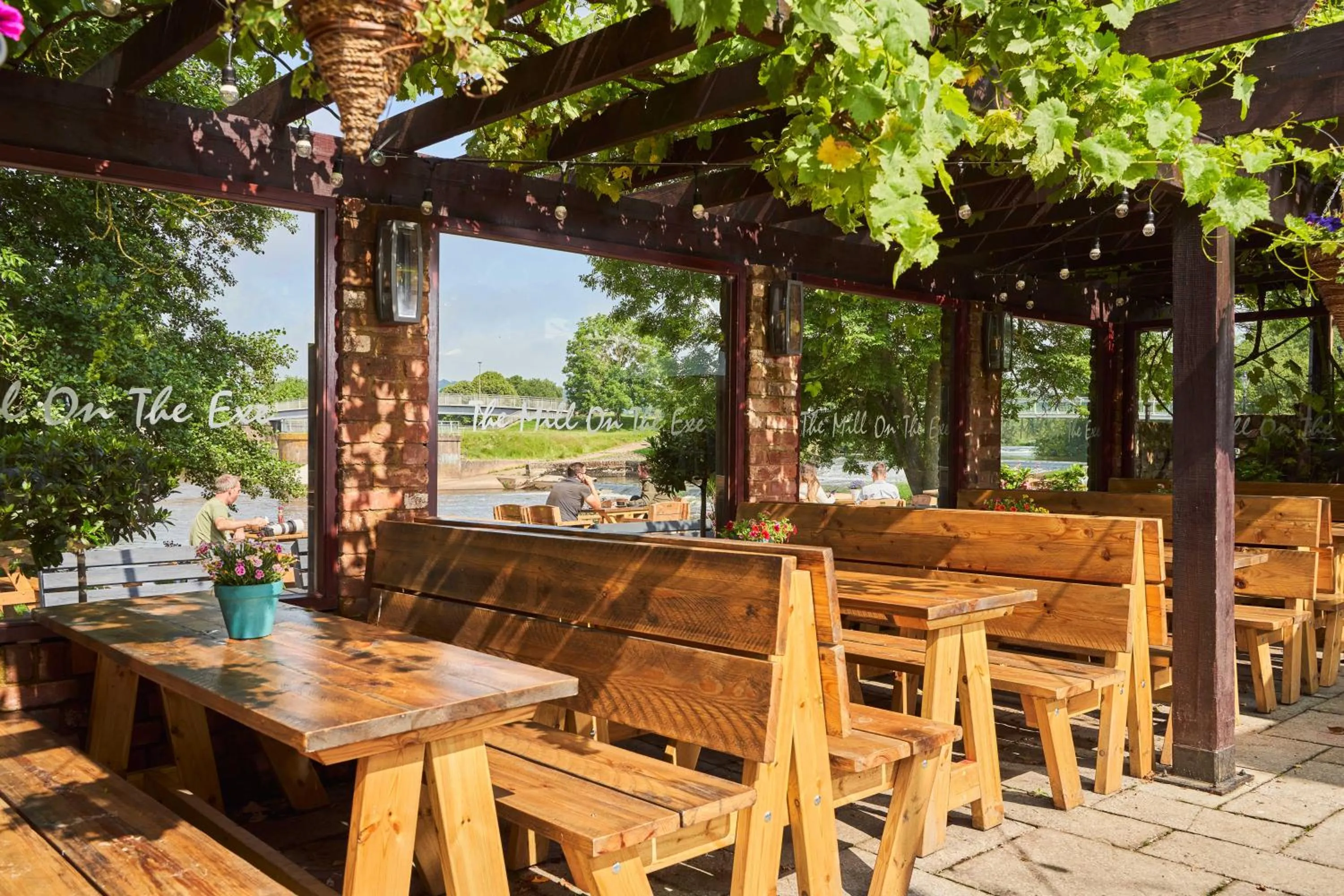 Garden in Mill on the Exe