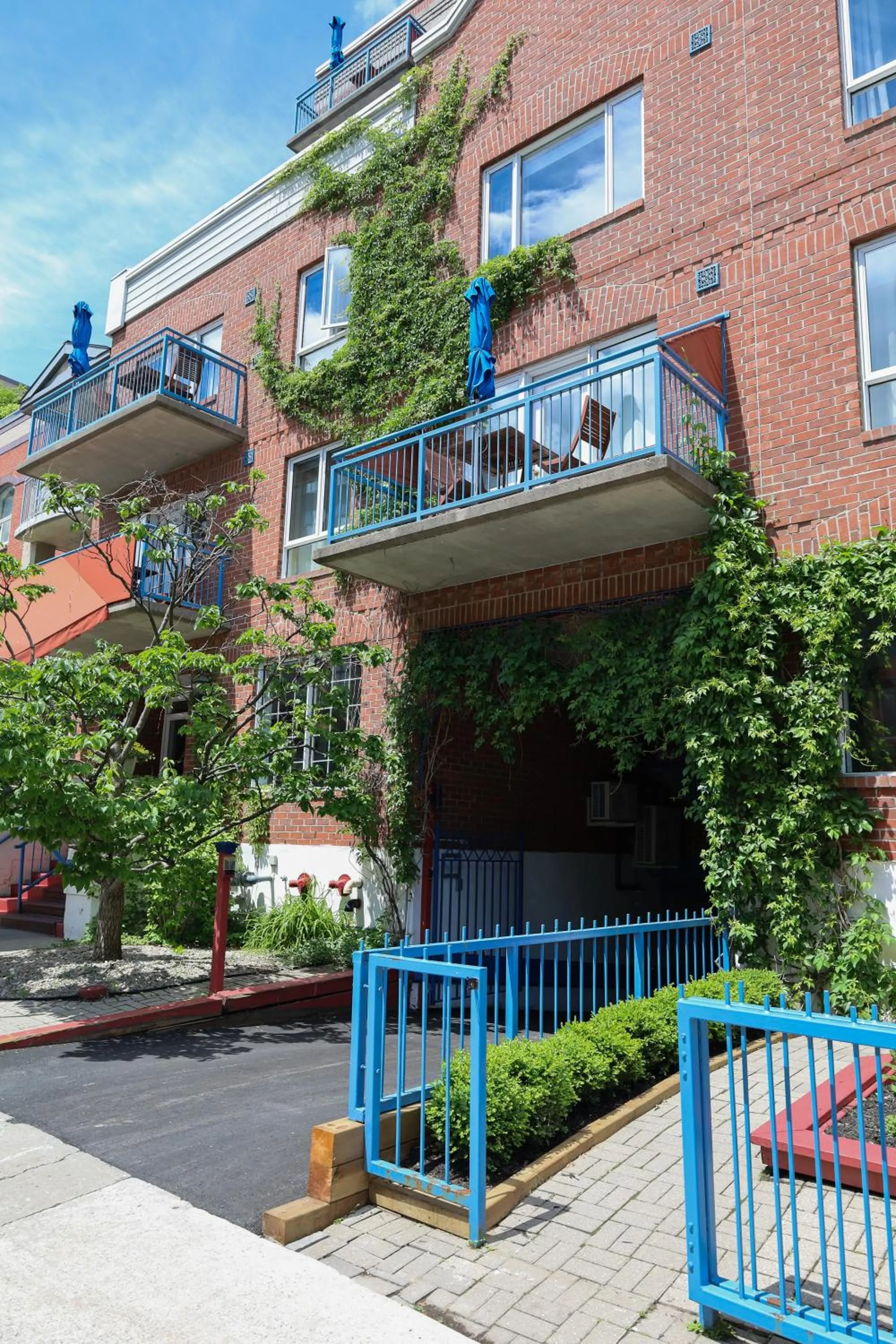 Garden in ByWard Blue Inn