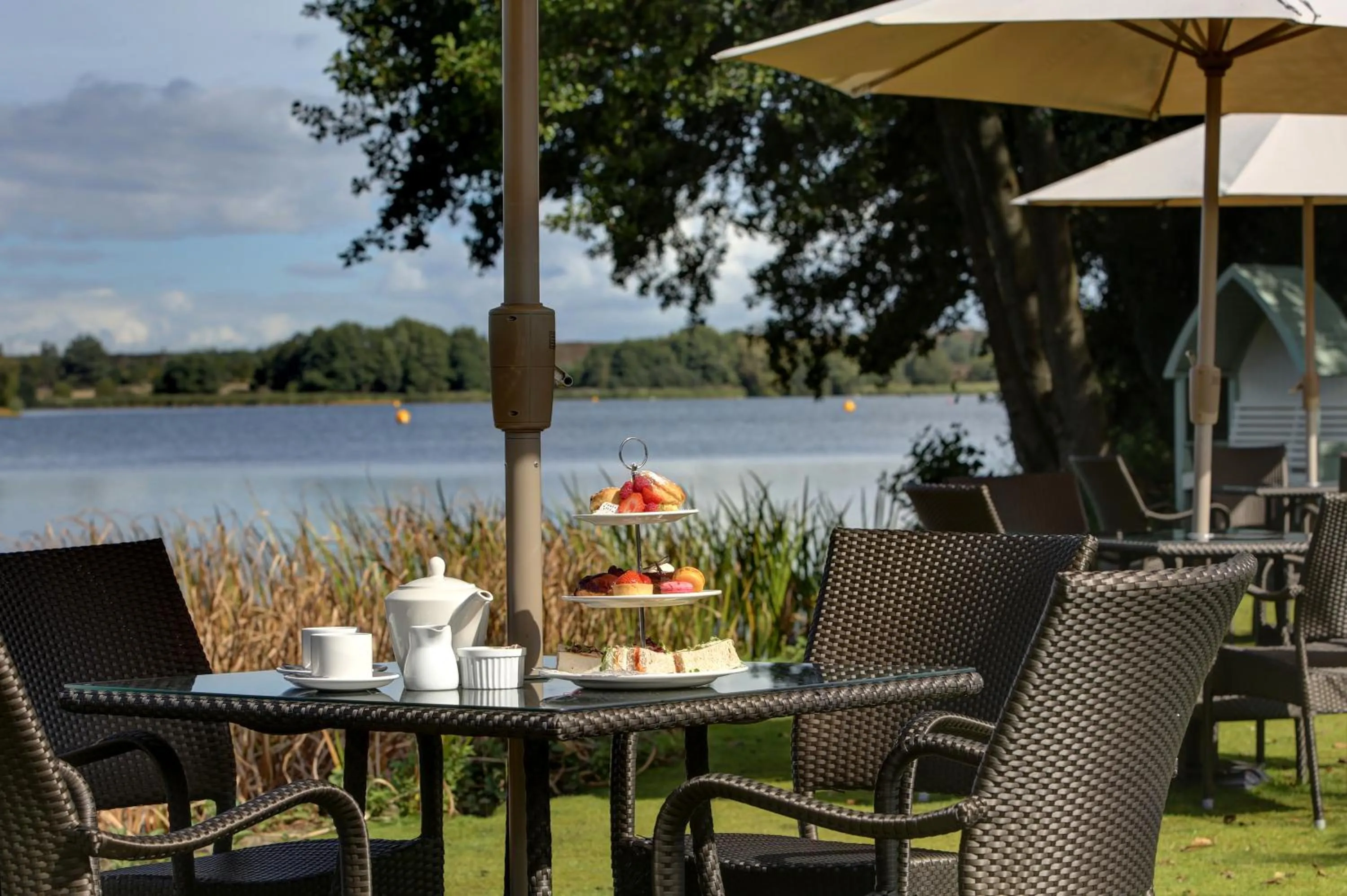 Balcony/Terrace in Frensham Pond Country House Hotel & Spa