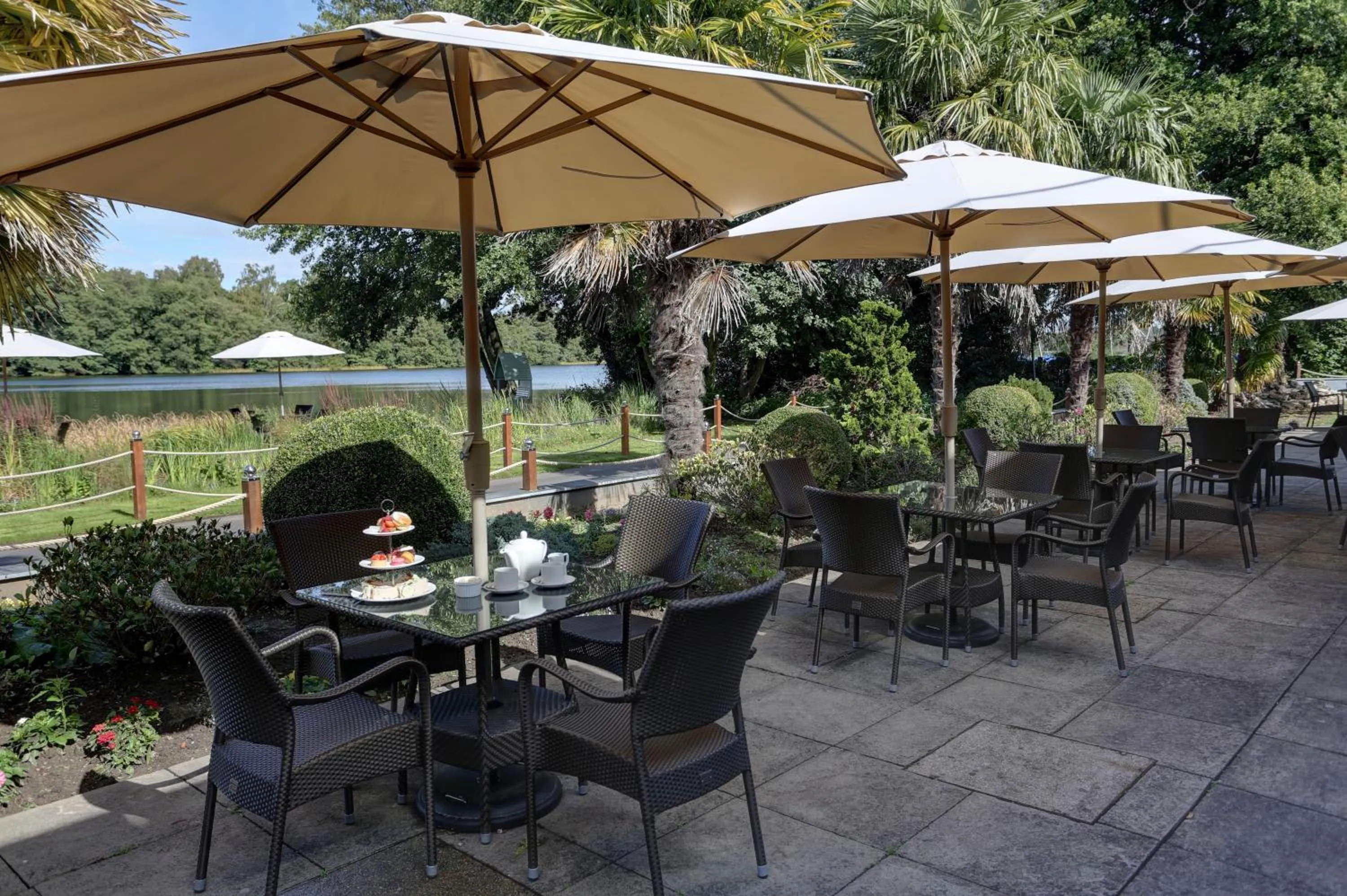 Restaurant/places to eat in Frensham Pond Country House Hotel & Spa