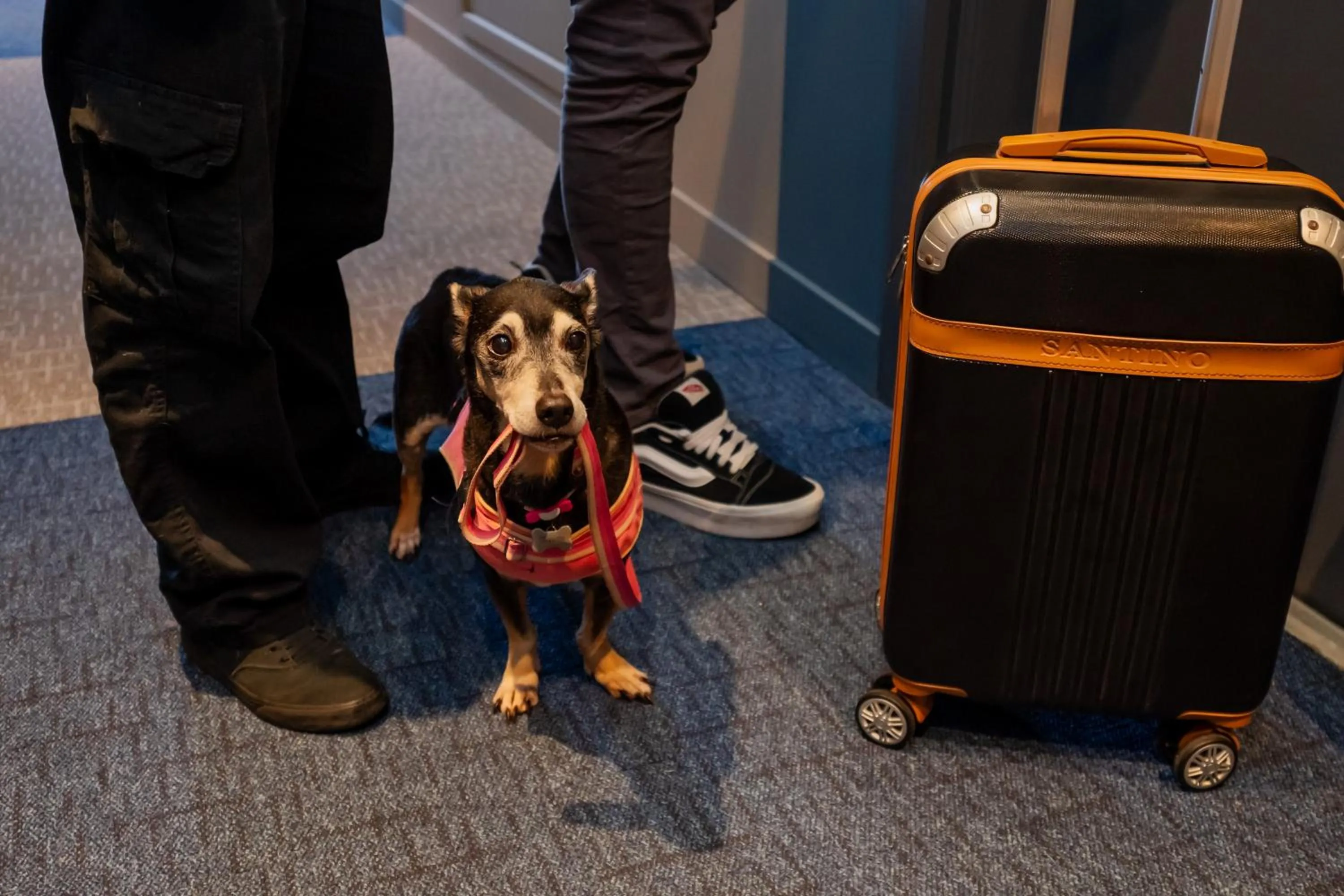 ibis Navegantes Itajai
