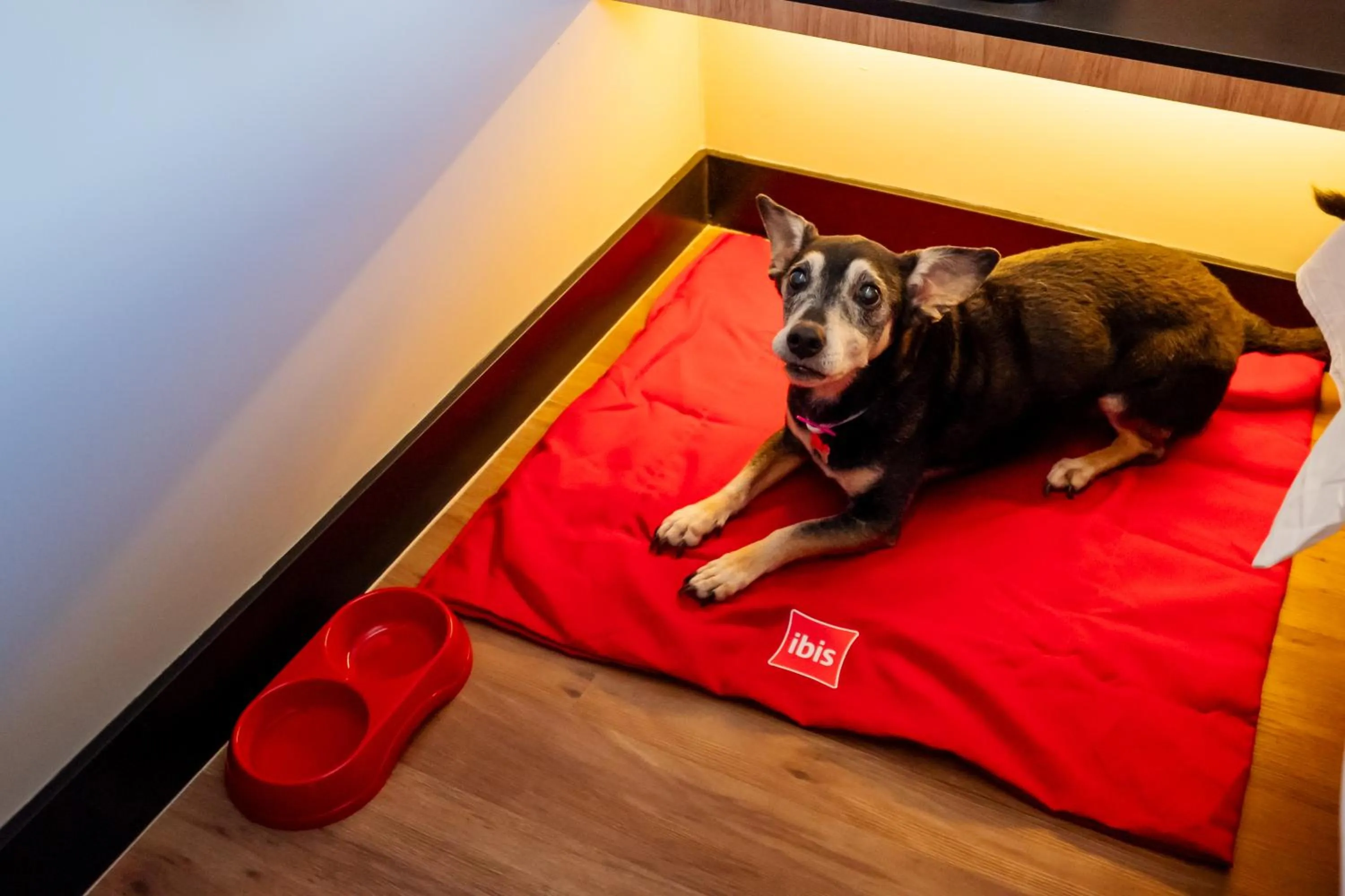 ibis Navegantes Itajai