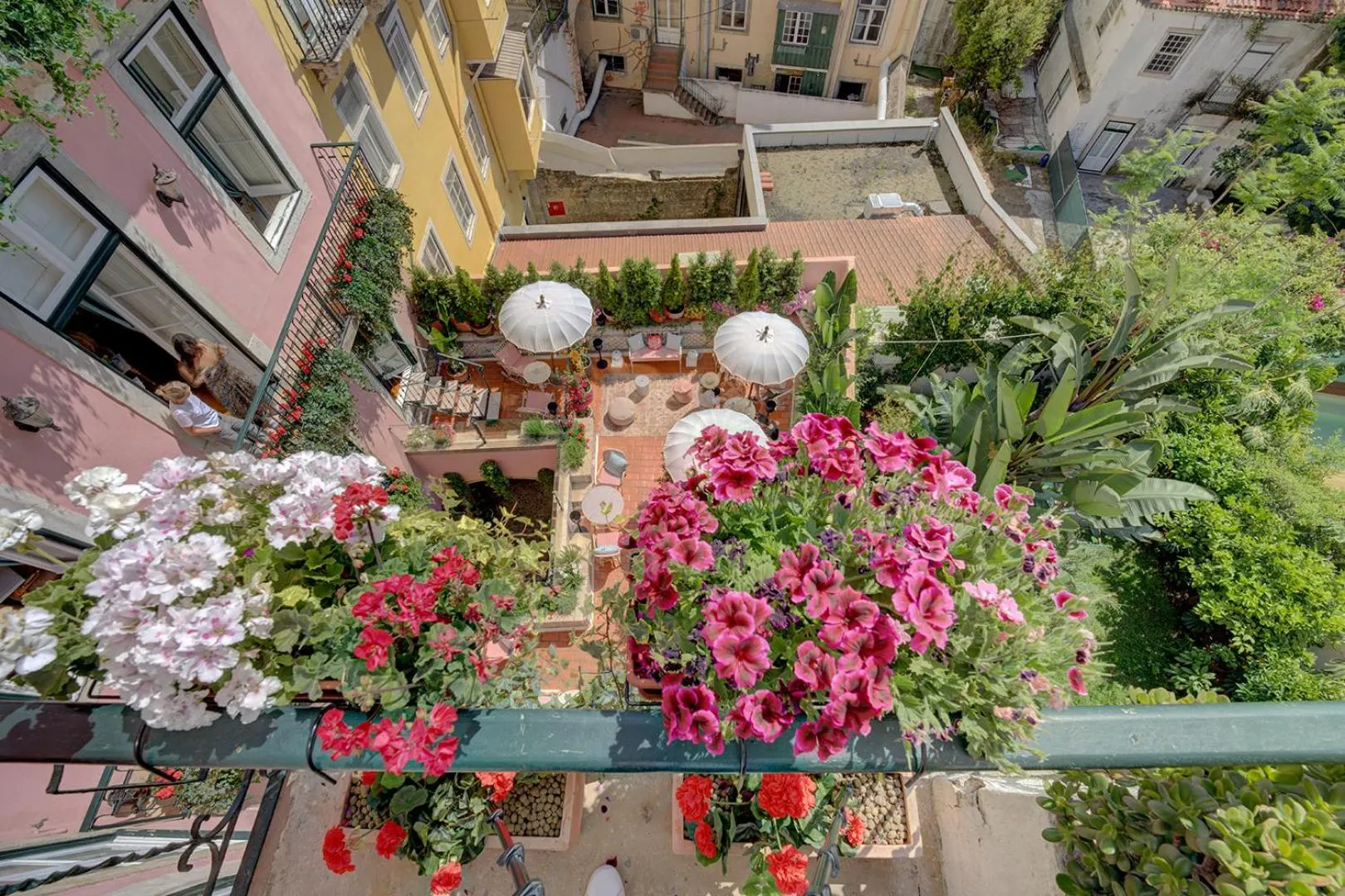Garden in Palácio das Especiarias