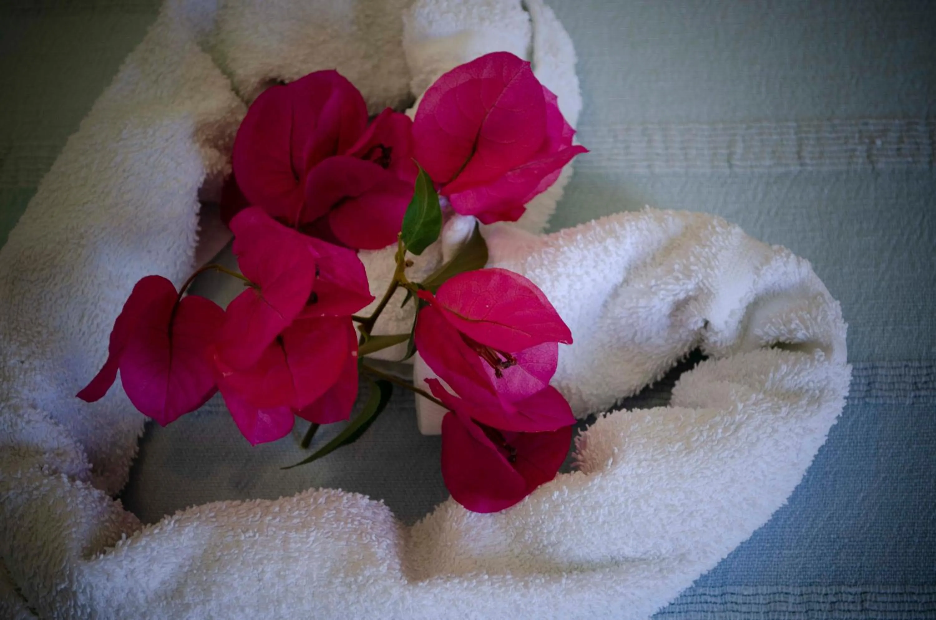 Decorative detail in Hotel Angelino