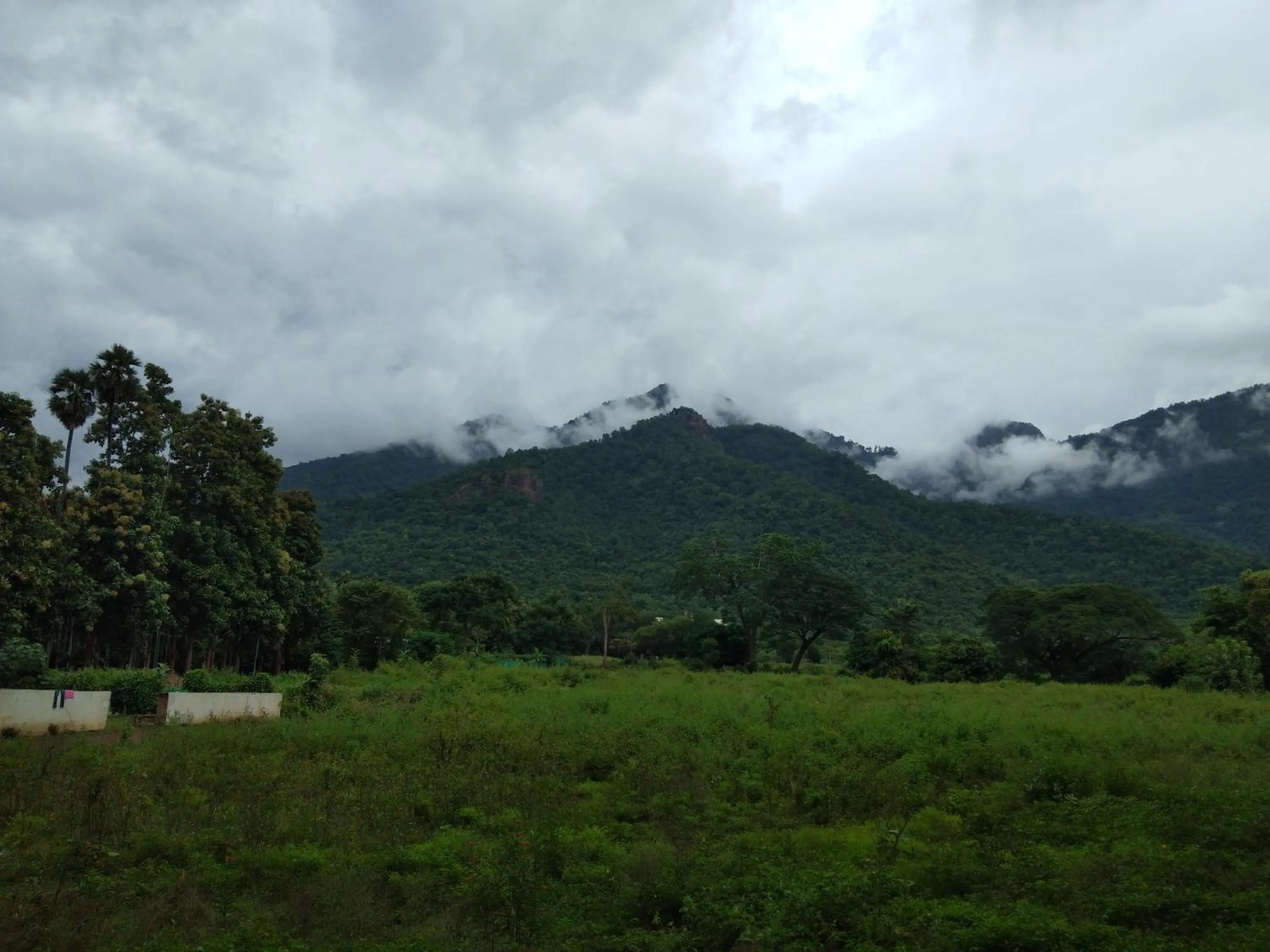 Breakfast in Drizzle Drop Inn