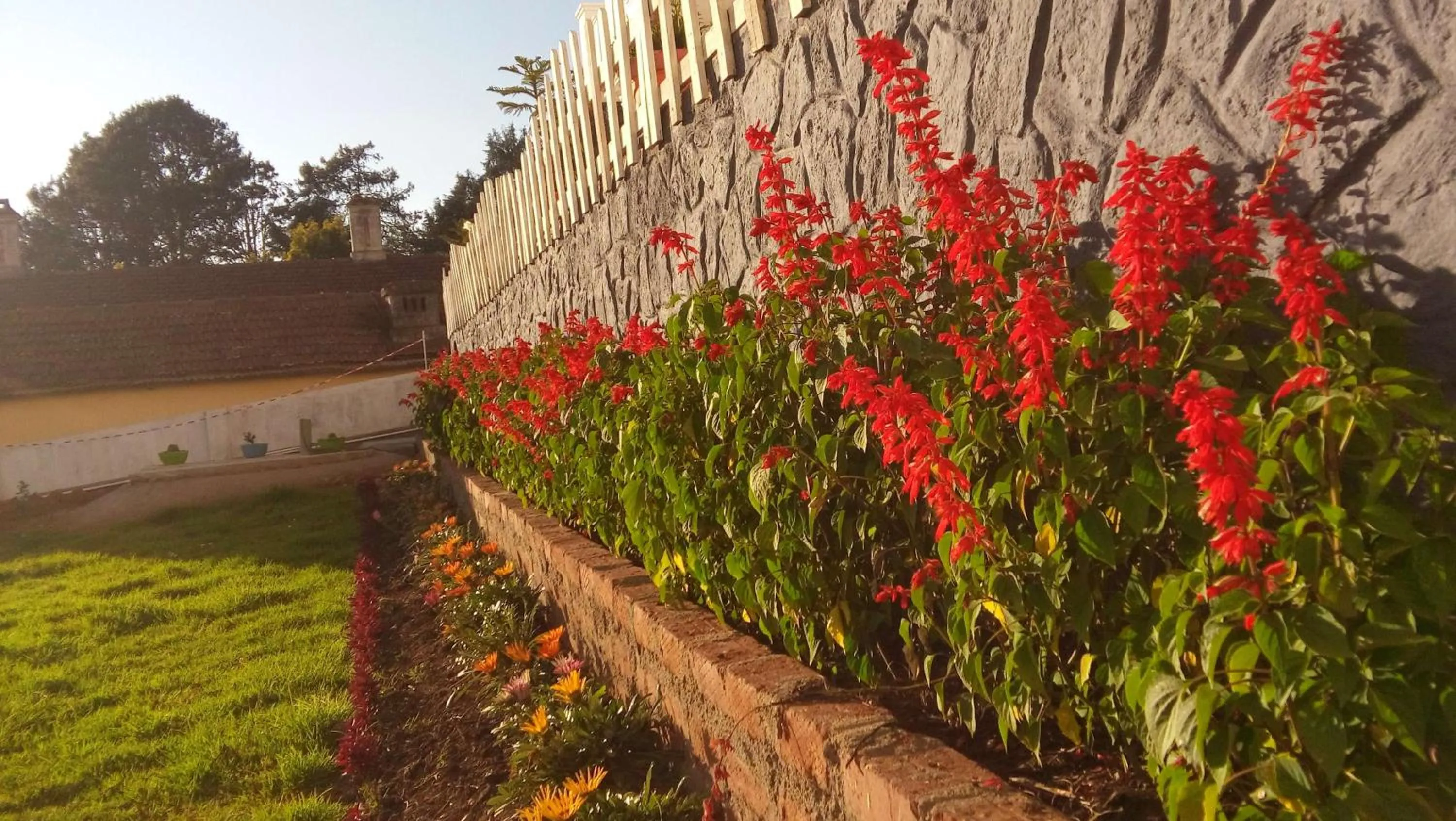 Garden view in Drizzle Drop Inn