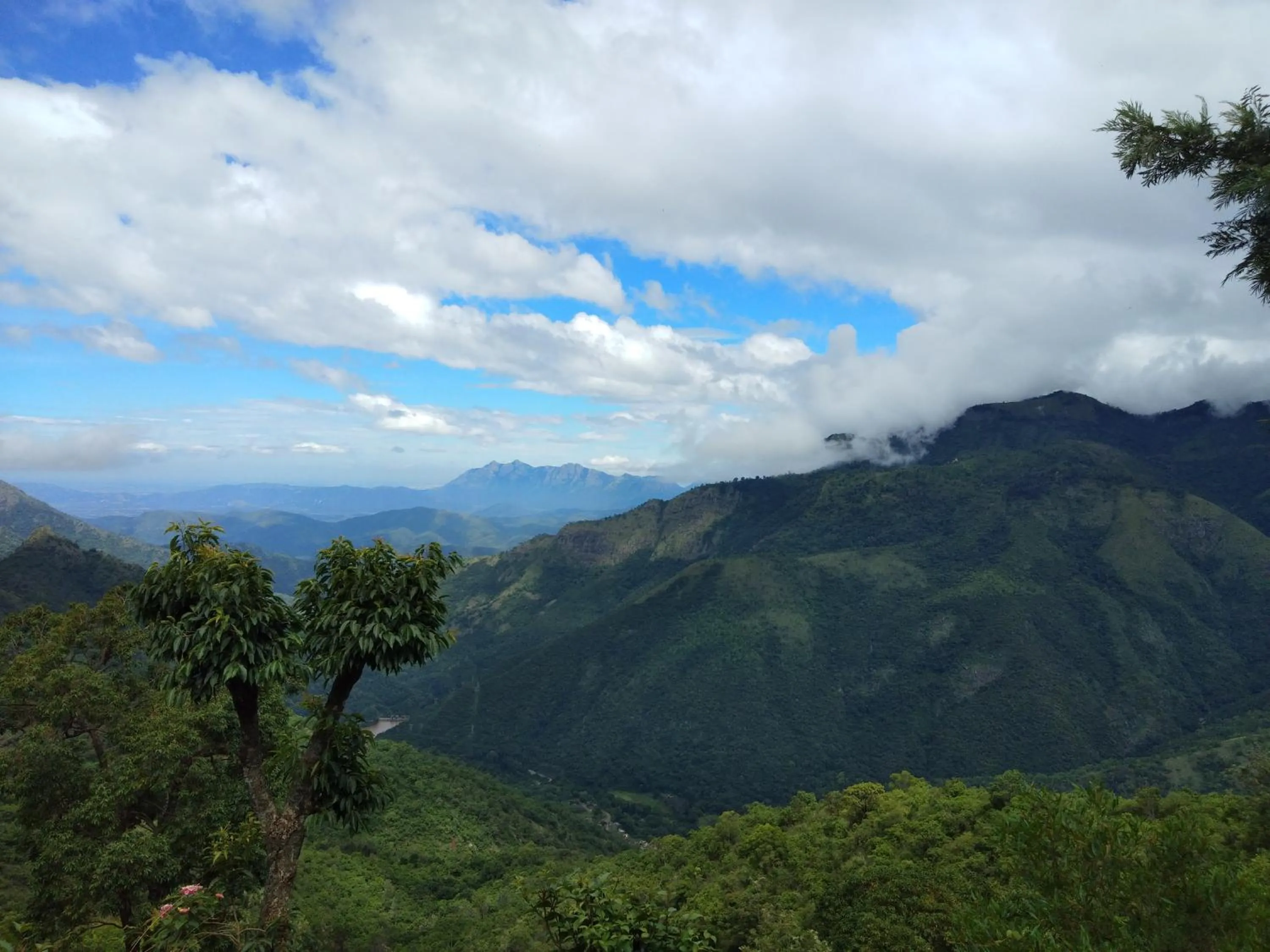 Breakfast in Drizzle Drop Inn