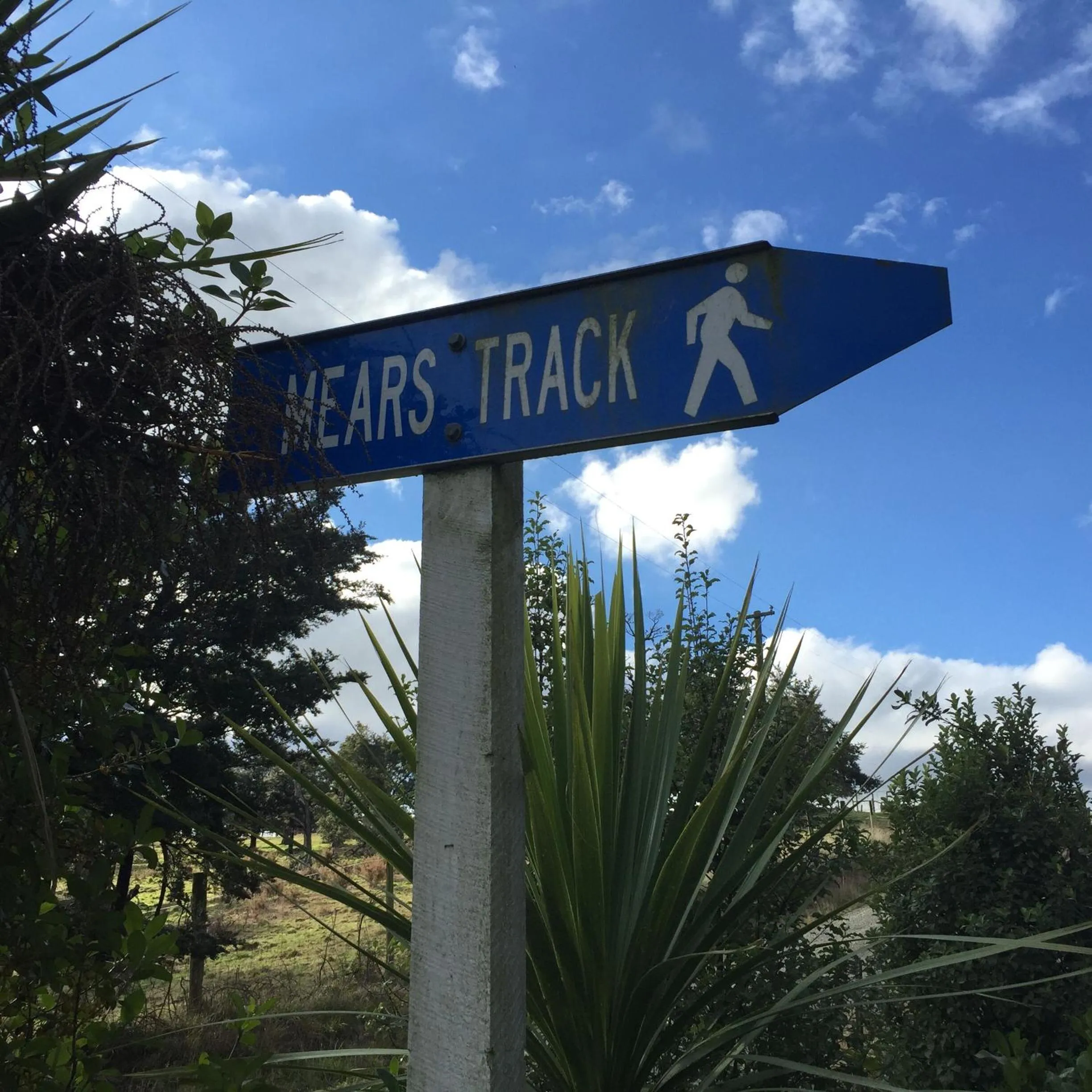 Hiking in Oxford Queenette Backpackers