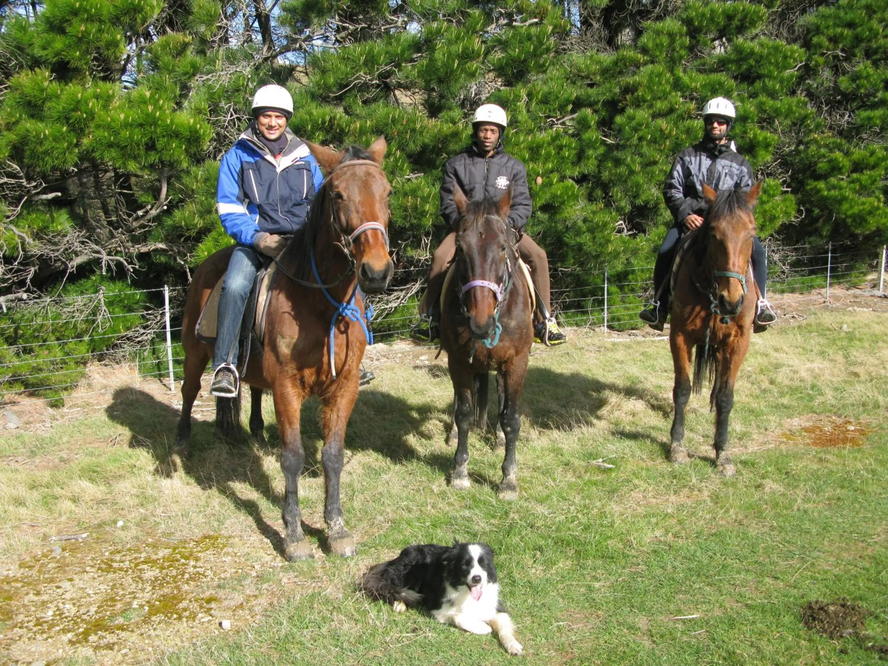 Horse-riding in Oxford Queenette Backpackers