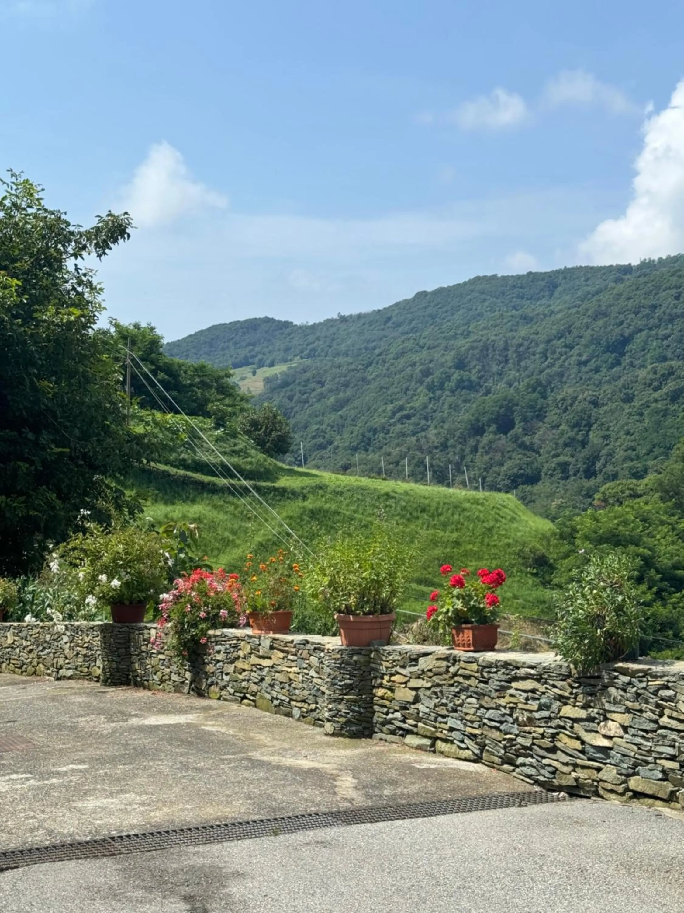 Natural landscape in B&b Al Ciliegio Del Turchino
