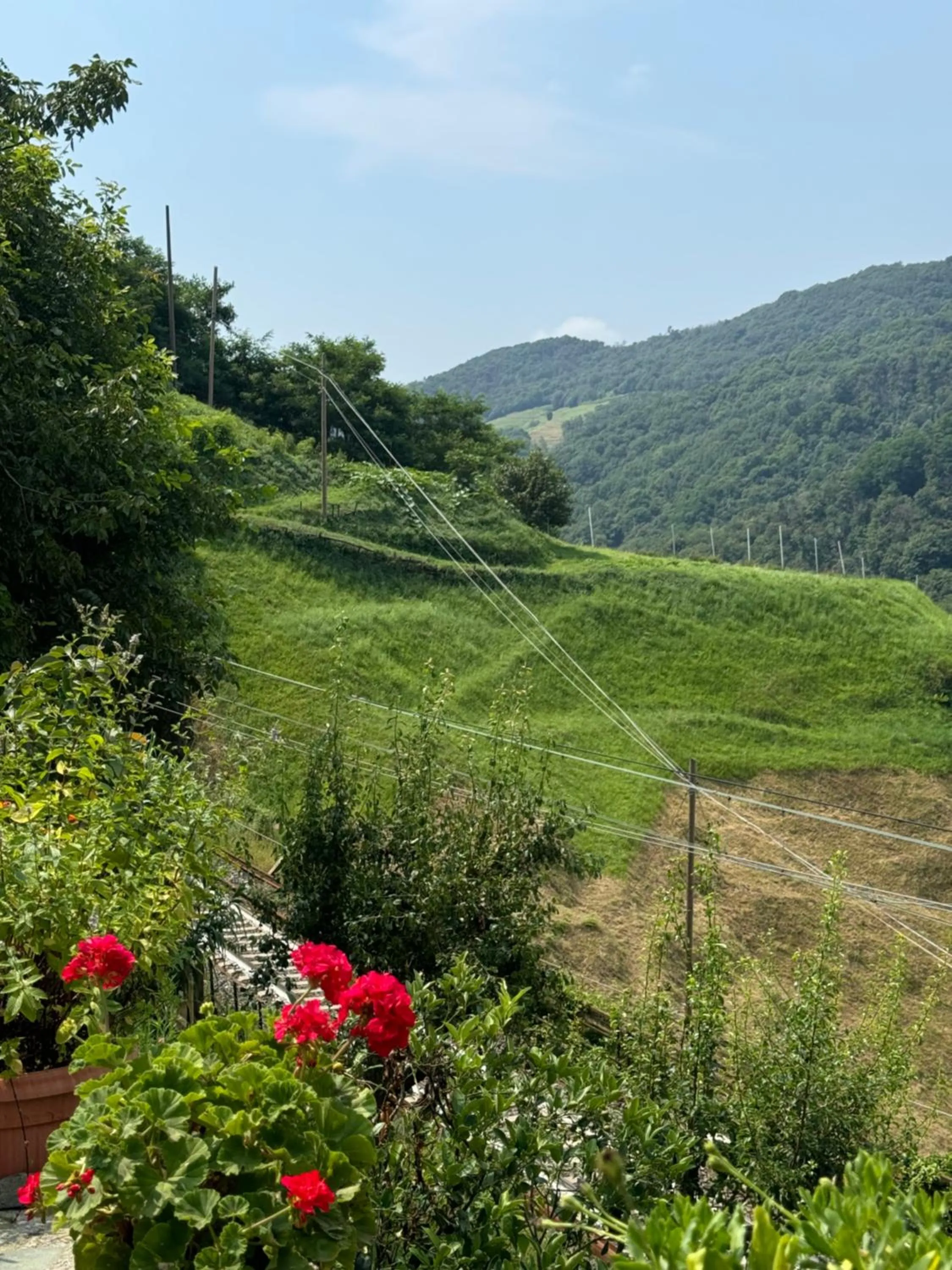 Day in B&b Al Ciliegio Del Turchino