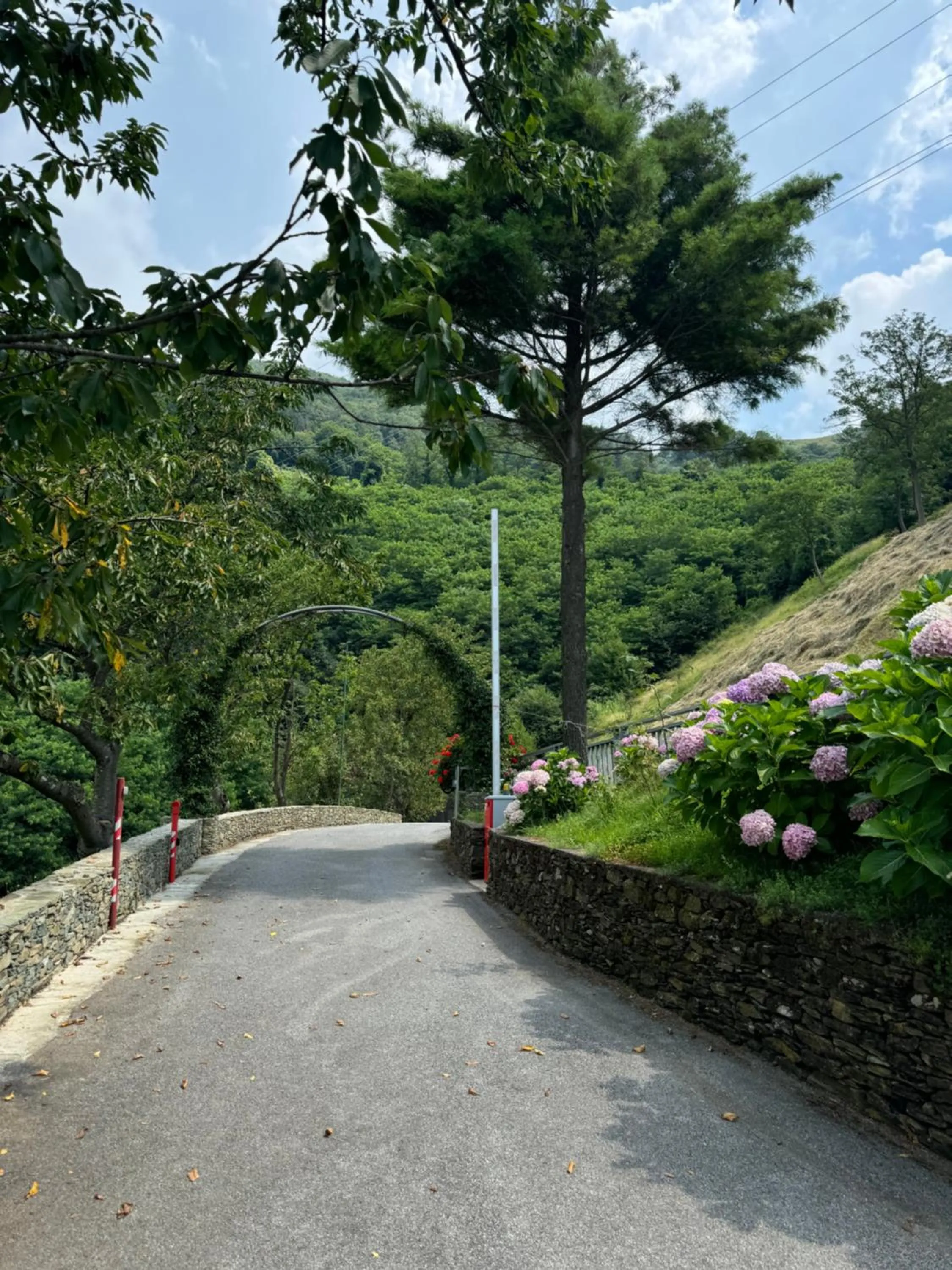 Natural landscape in B&b Al Ciliegio Del Turchino