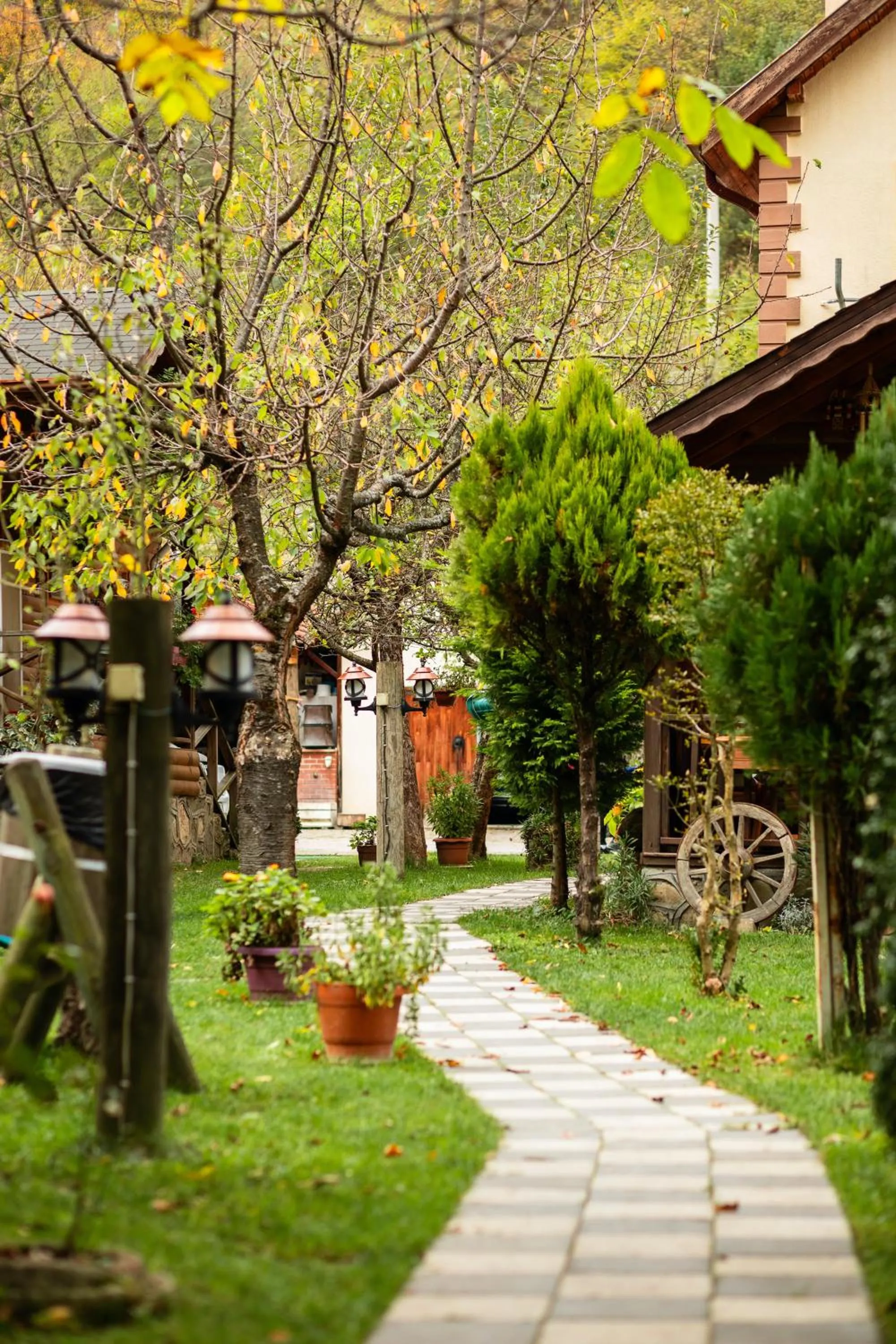 Garden in Abant Doğa Köşkü
