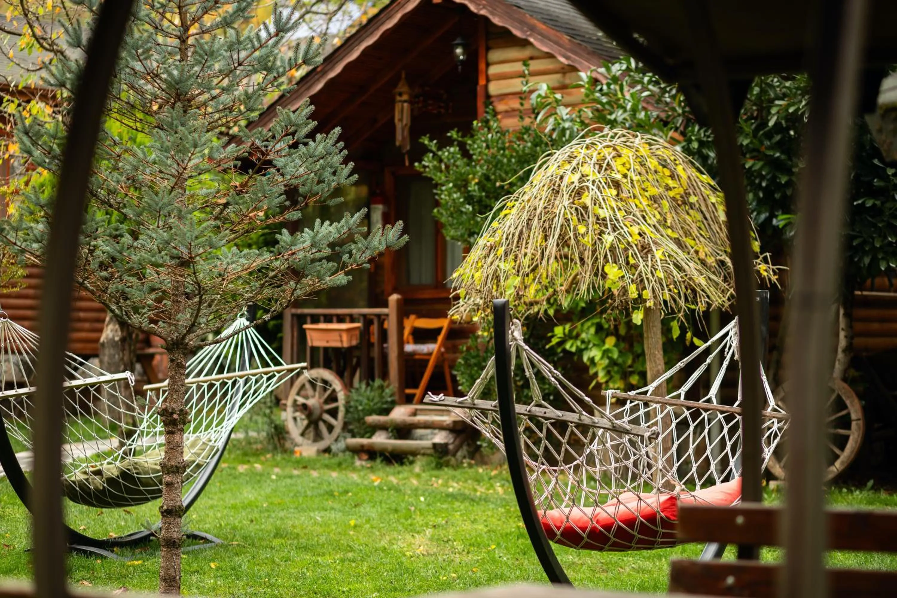 Garden in Abant Doğa Köşkü