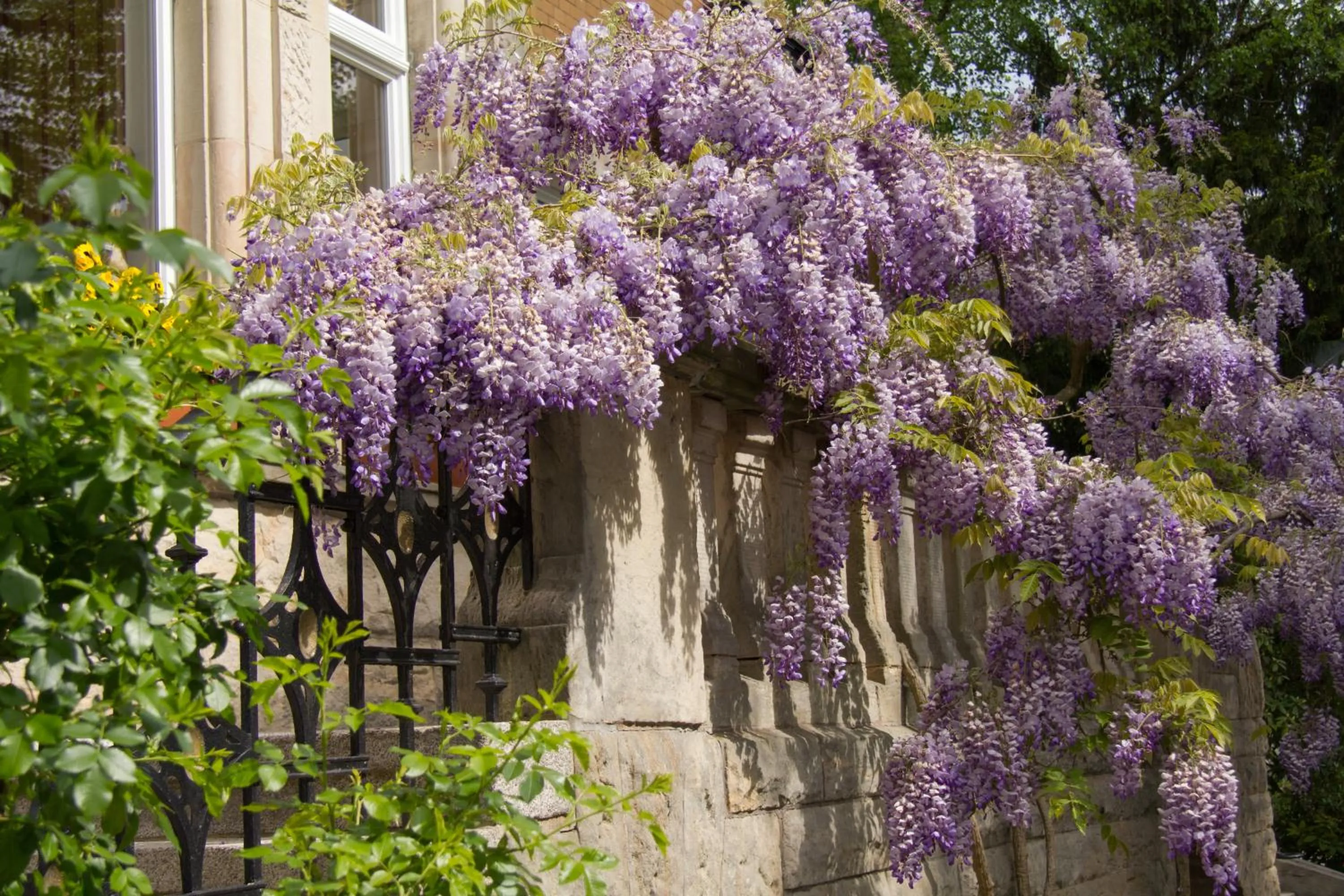 Property building in Gästehaus Musmann