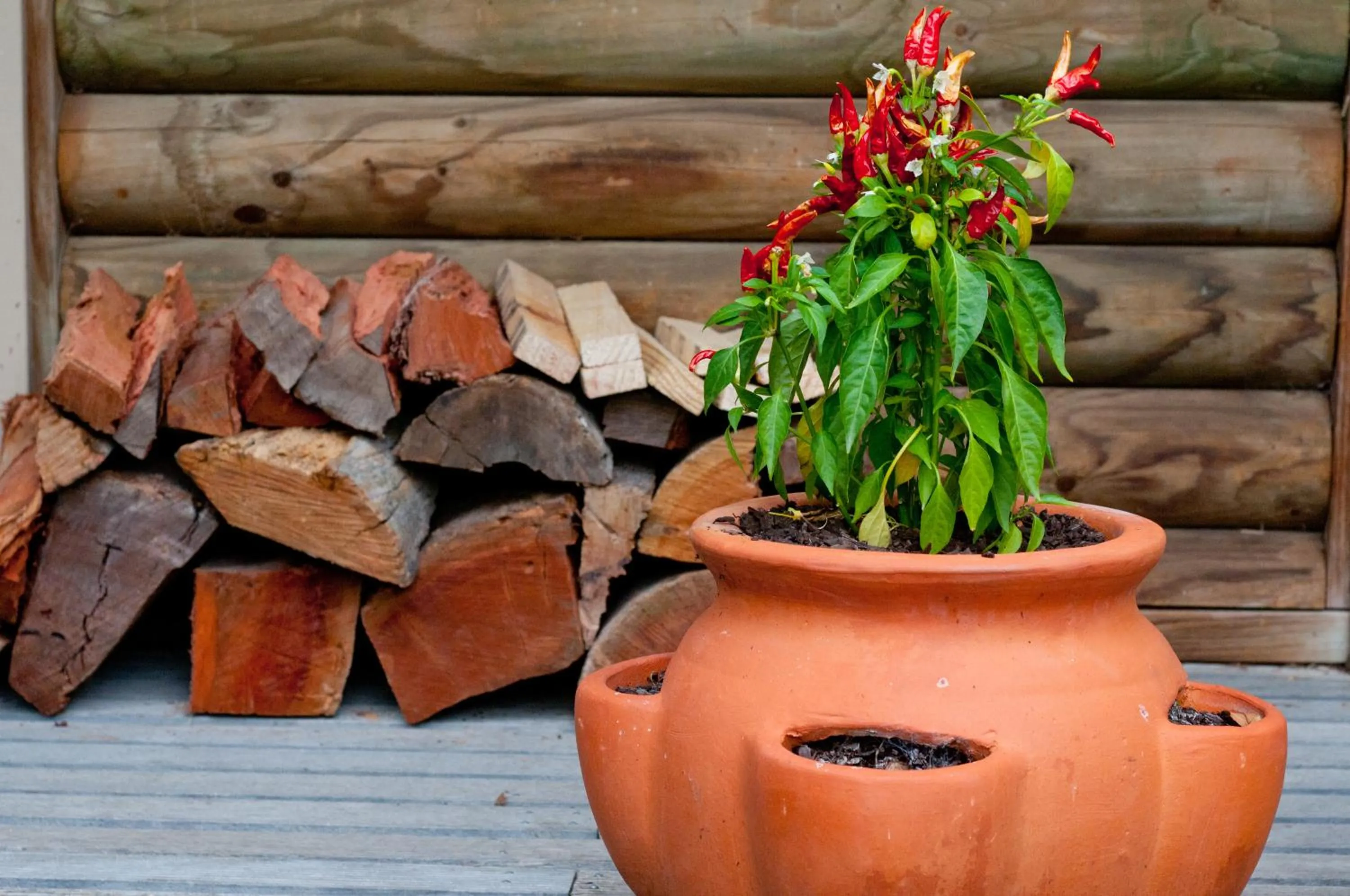 Balcony/Terrace in Ti-Tree Village