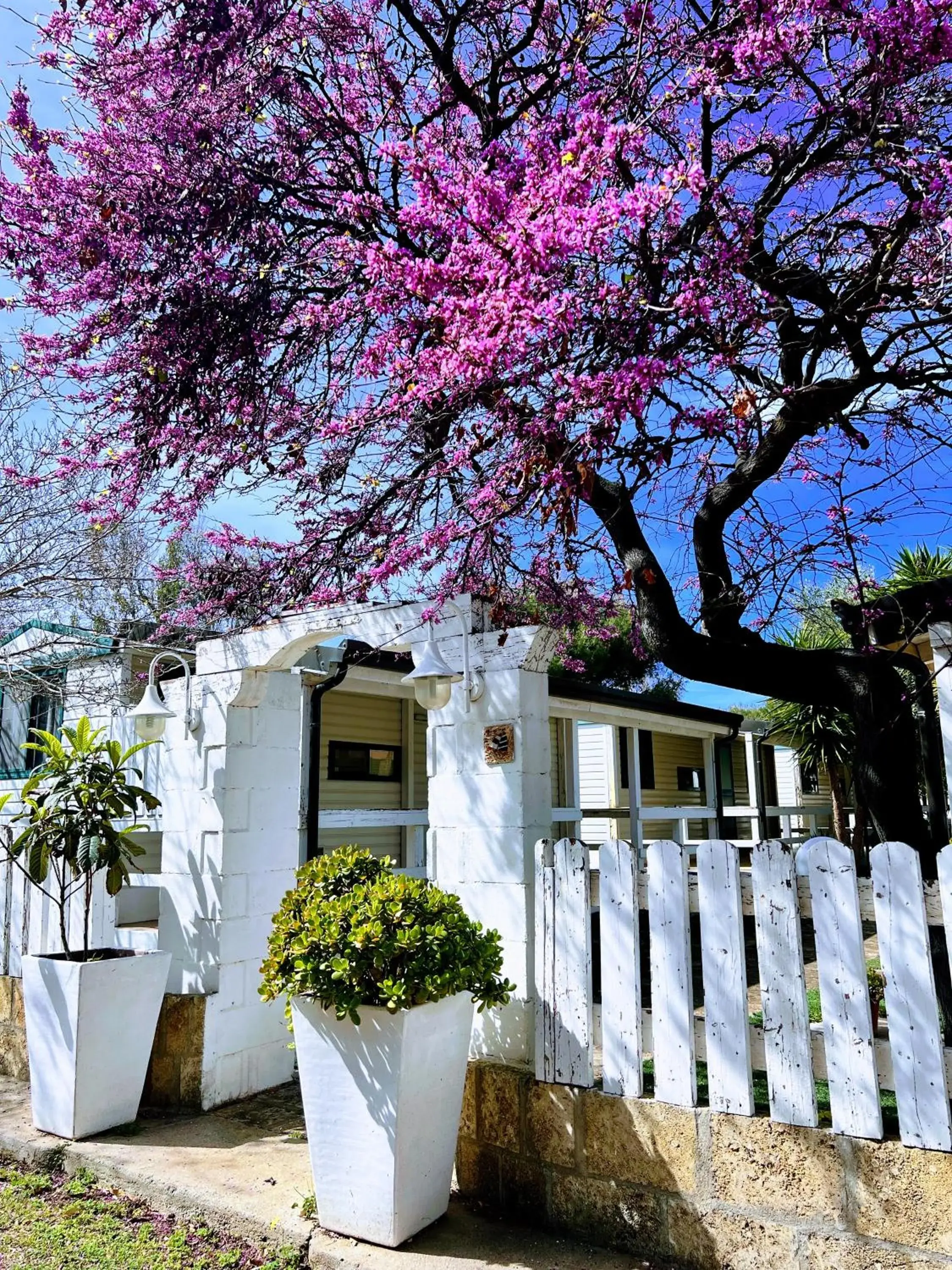 Residence "Il Faro" Residence "Il Faro"