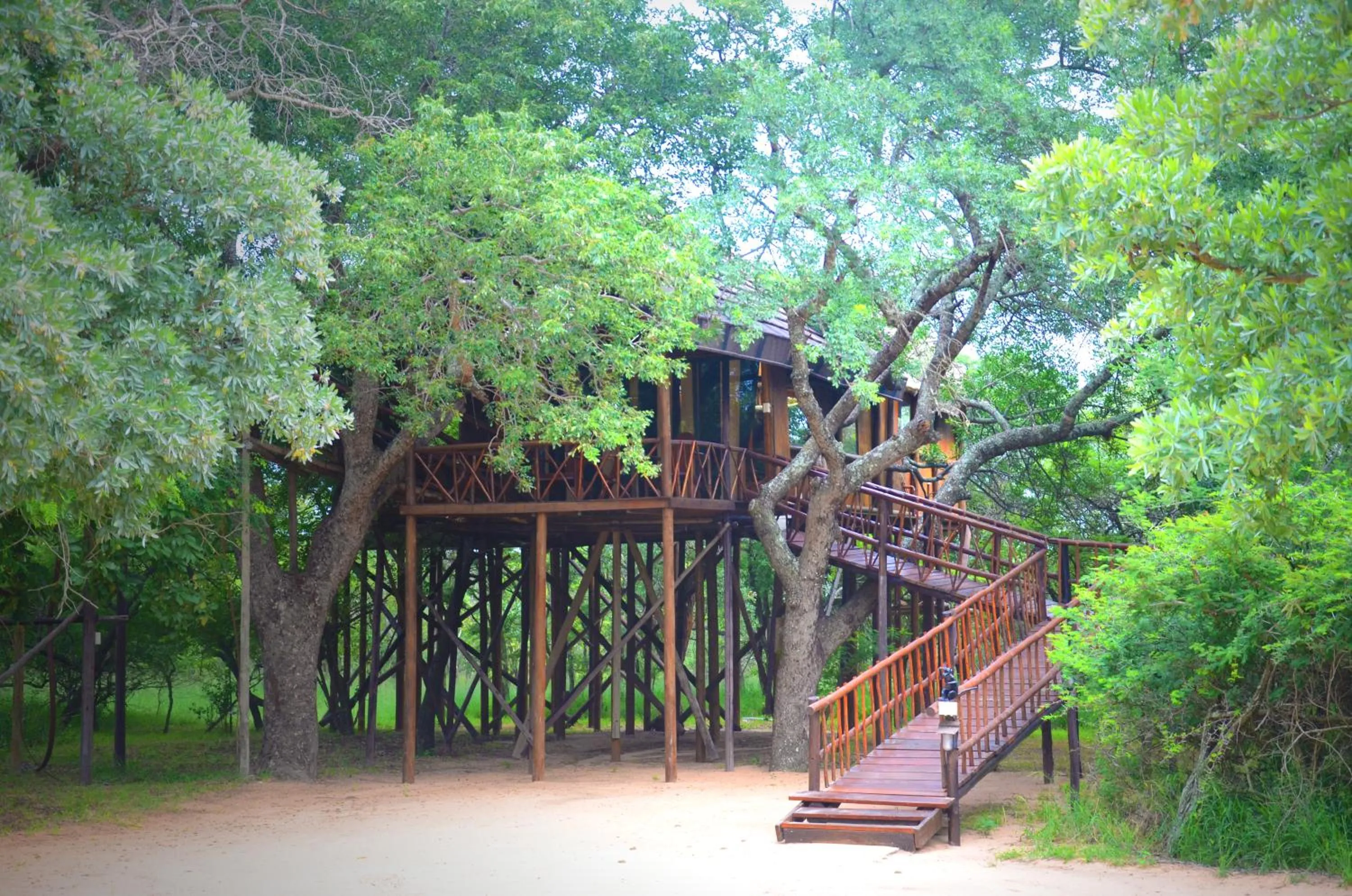 Photo of the whole room in Pezulu Tree House Lodge