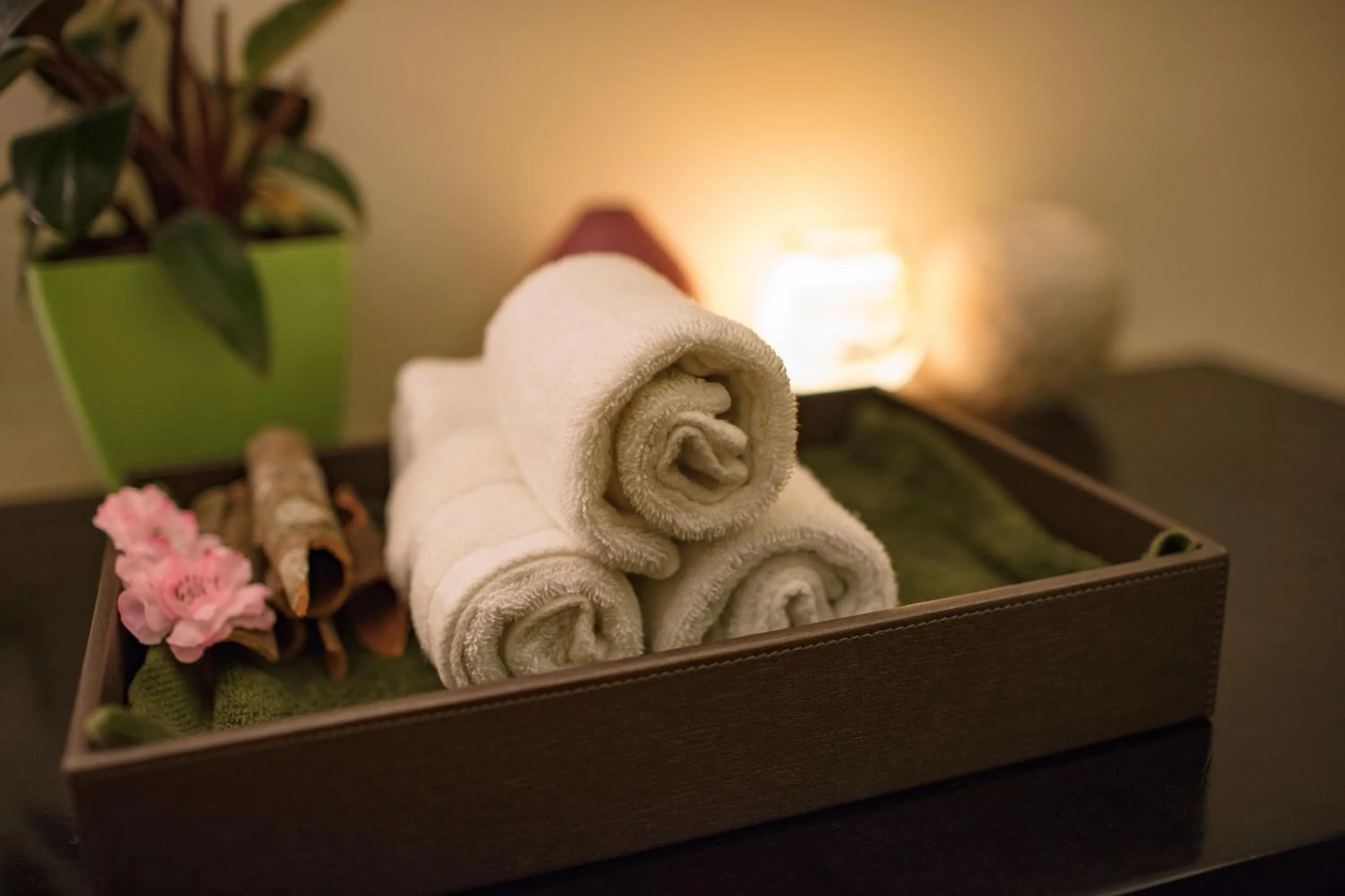 Massage in Sapa Freesia Hotel