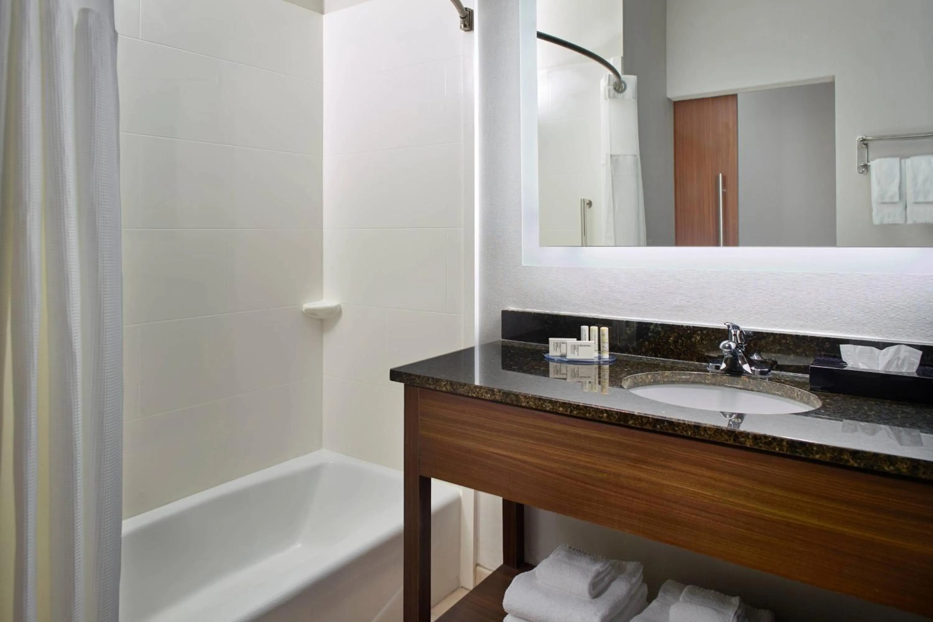 Bathroom in Fairfield Inn & Suites by Marriott Asheville Airport/Fletcher